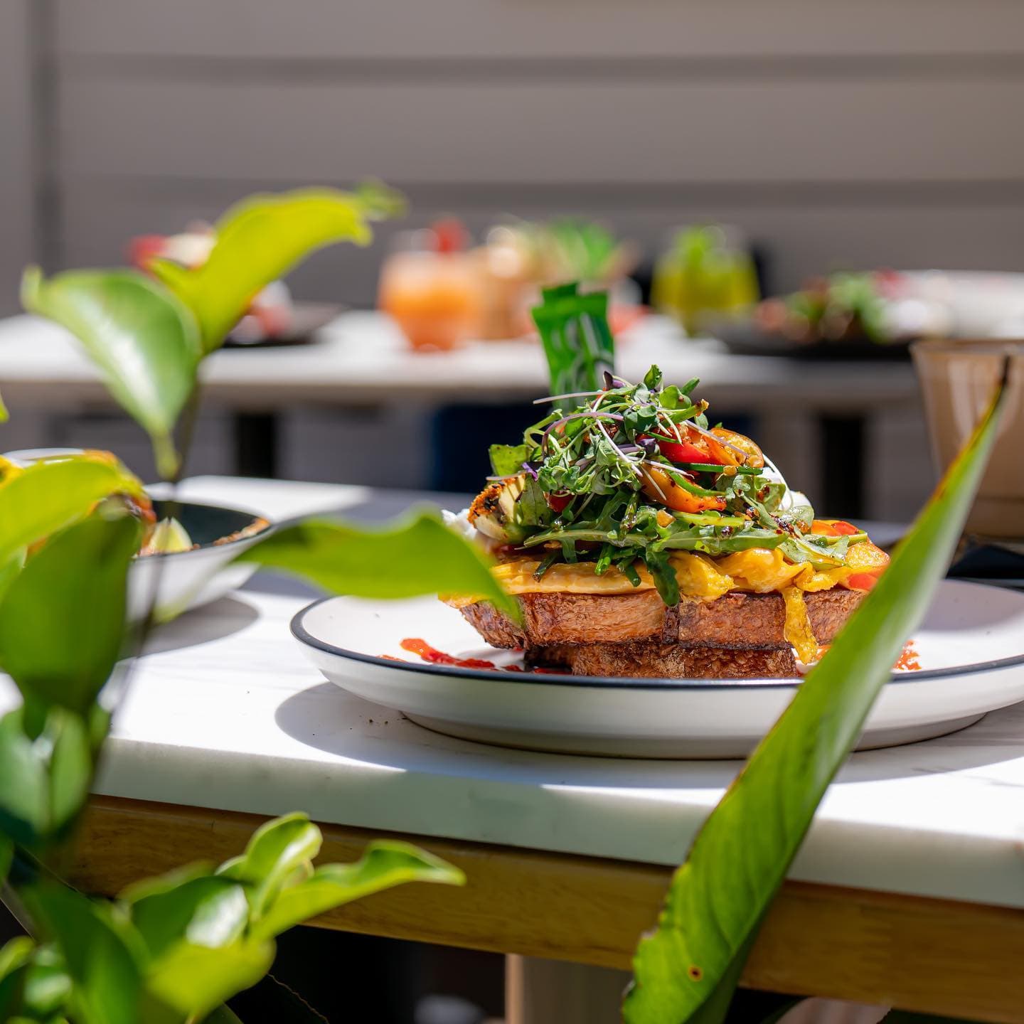 The Peacock South Yarra — South Yarra, Melbourne