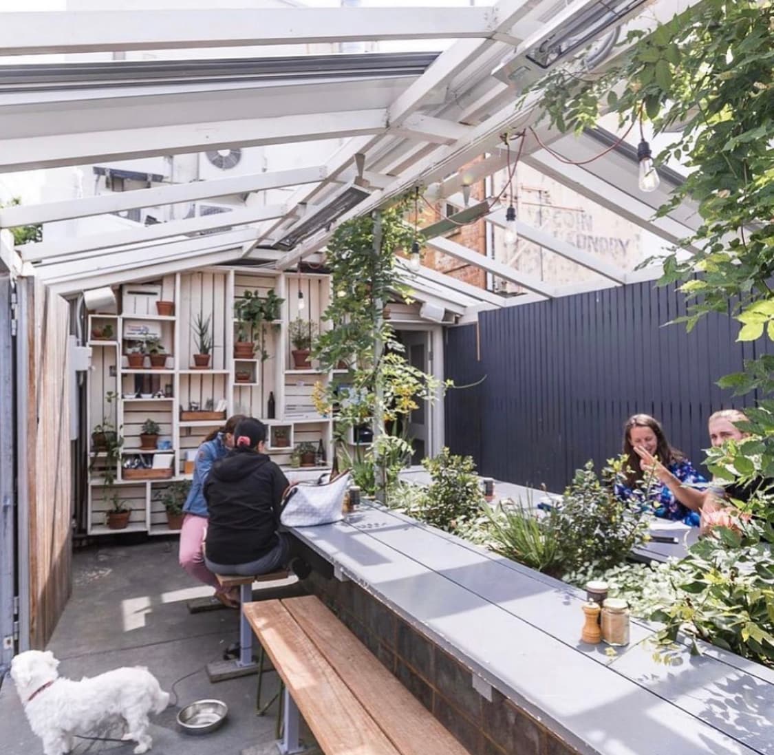 Tall Timber Cafe — Prahran, Melbourne