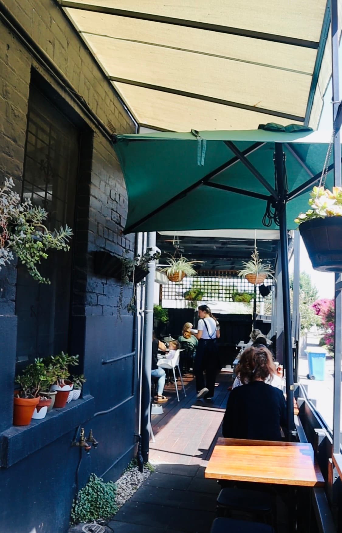 Sanctuary & Co — Hawthorn, Melbourne