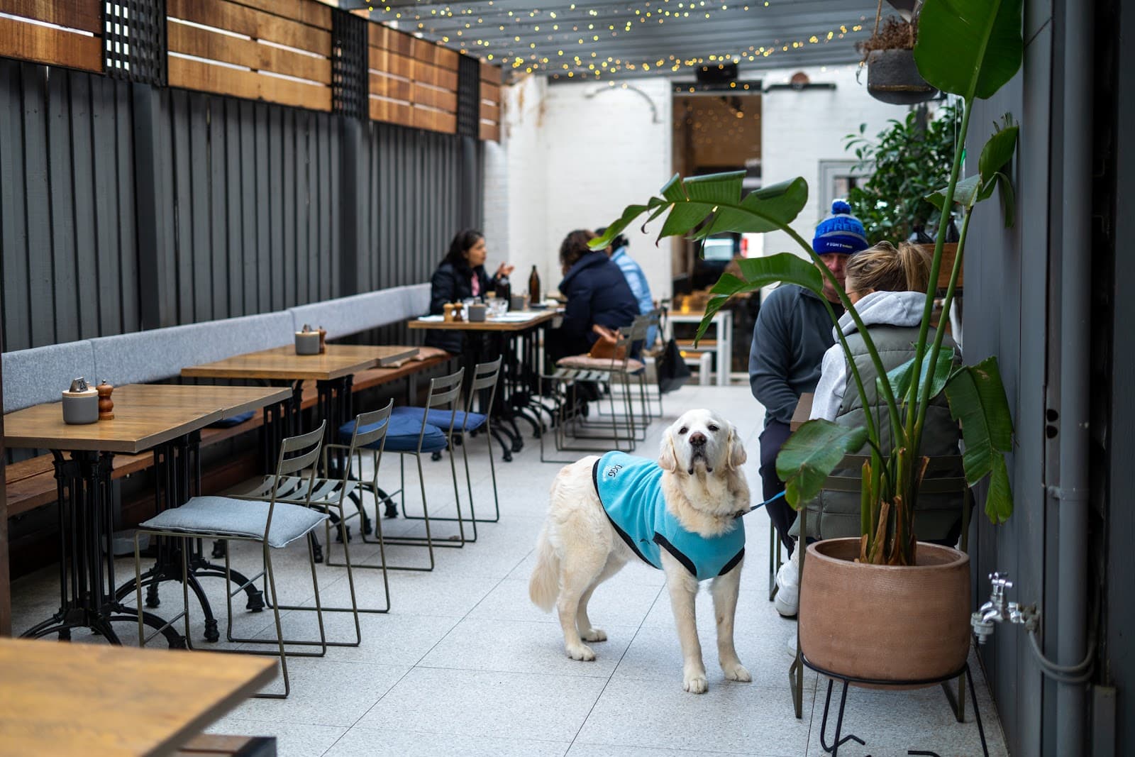 Porgies Cafe Hawthorn — Hawthorn, Melbourne