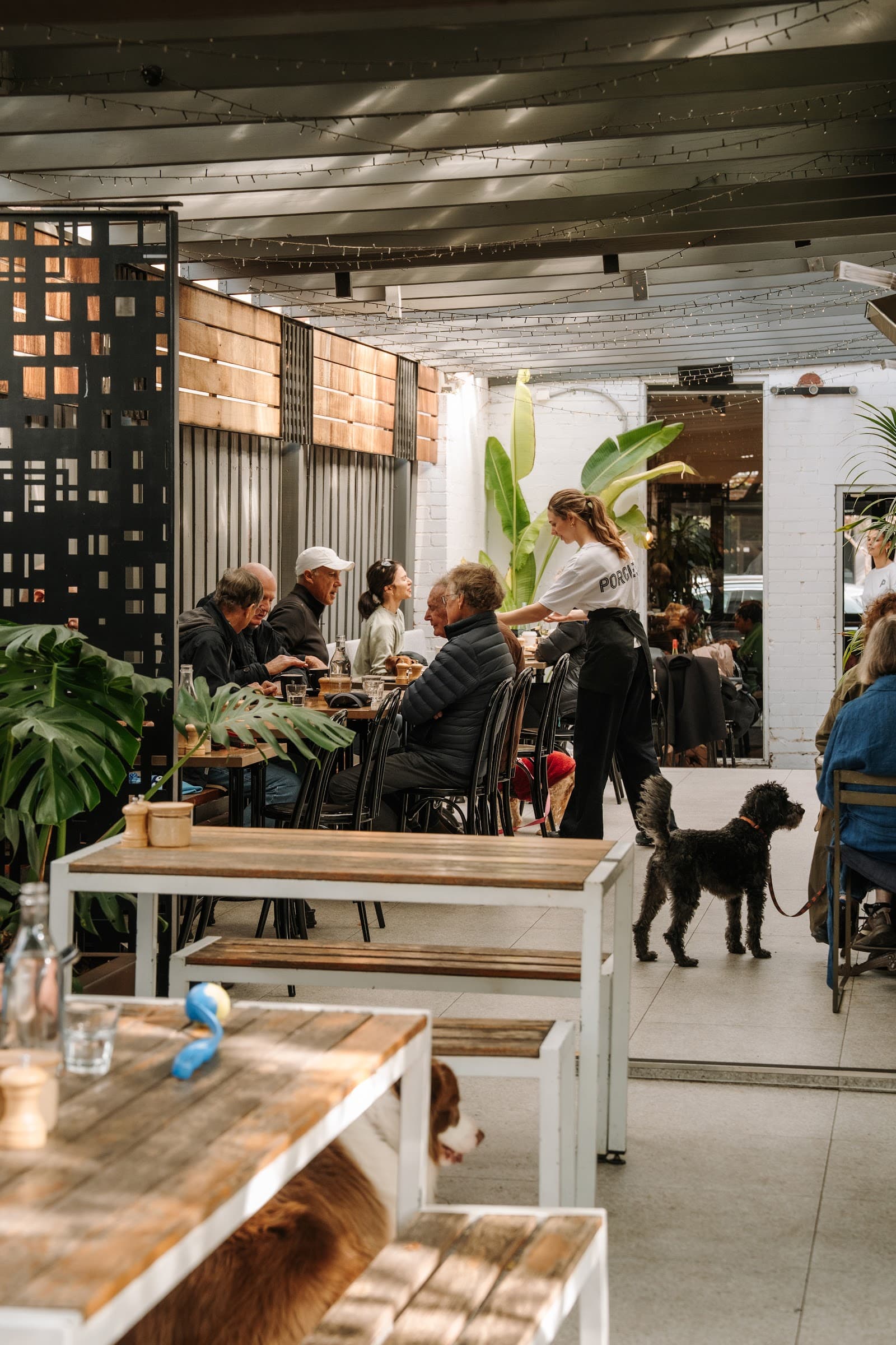 Porgies Cafe Hawthorn — Hawthorn, Melbourne