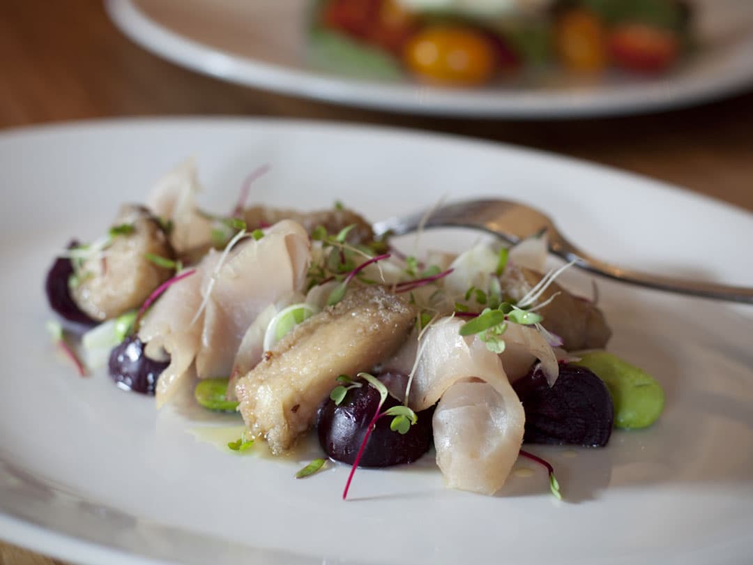 Cicciolina — St Kilda, Melbourne