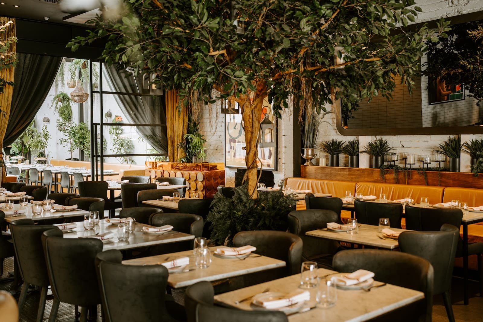 Rossi — Prahran, Melbourne