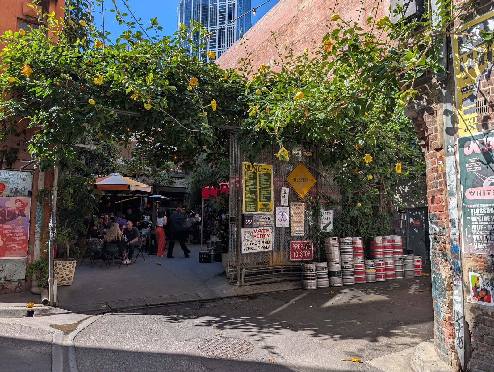 Whitehart Bar — Melbourne CBD, Melbourne