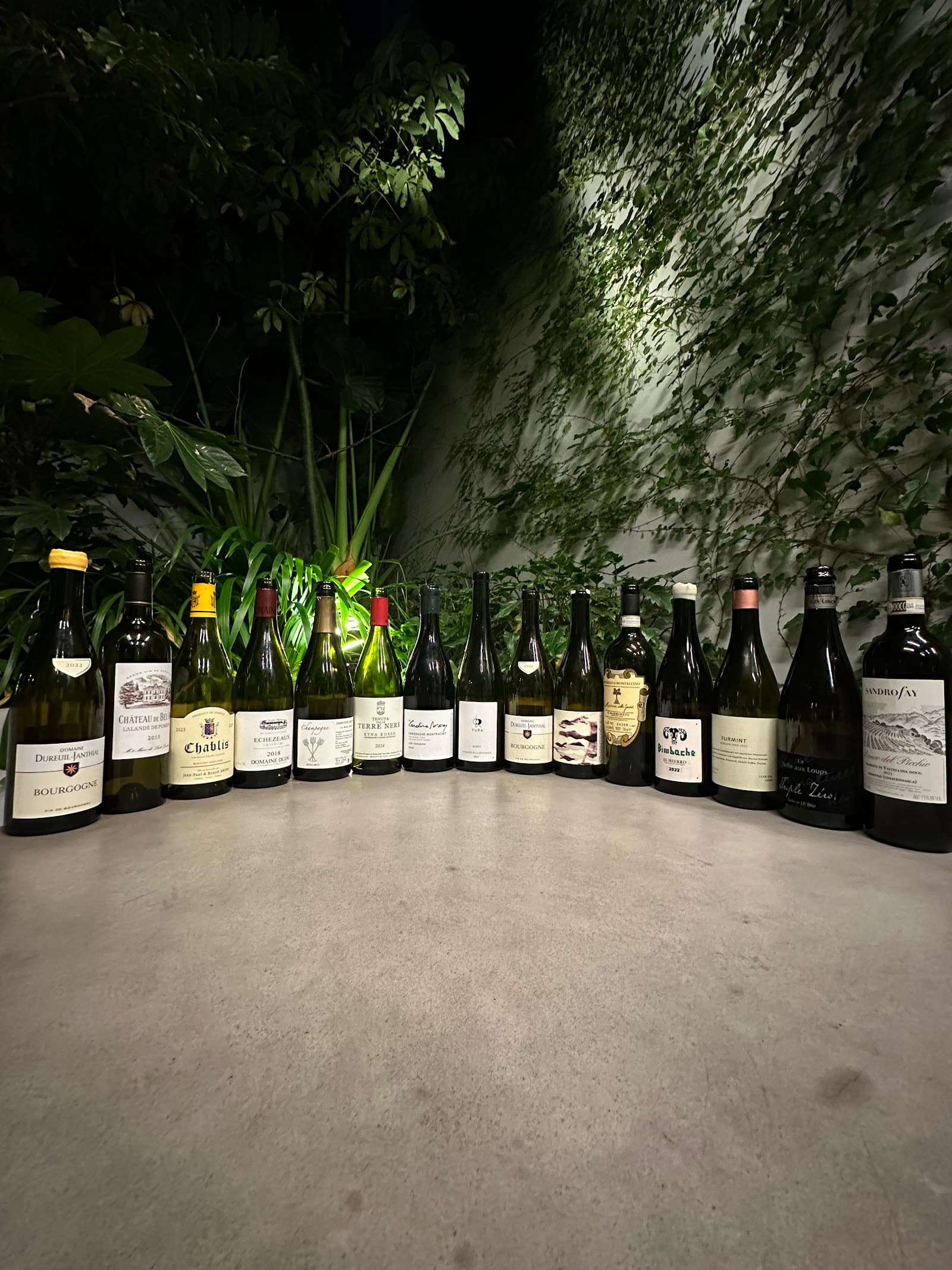 Bar Local Drop — Collingwood, Melbourne