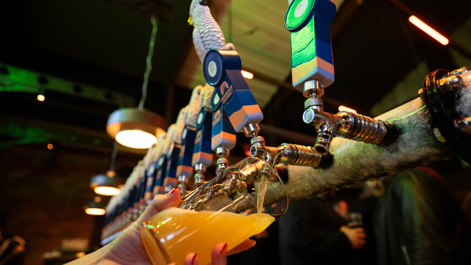 Mountain Culture Brewery - Melbourne — Hawthorn, Melbourne