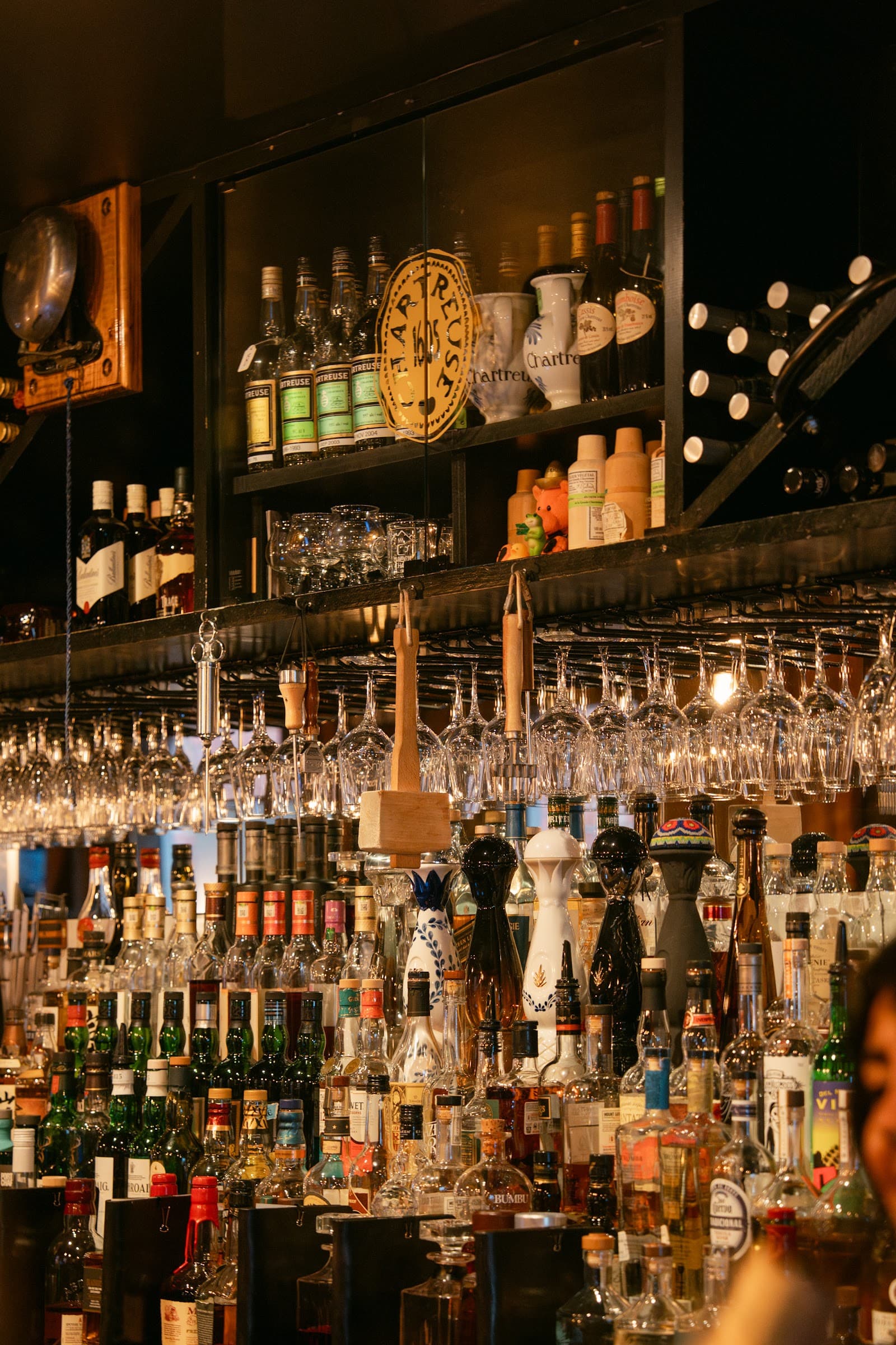 Katuk — South Yarra, Melbourne