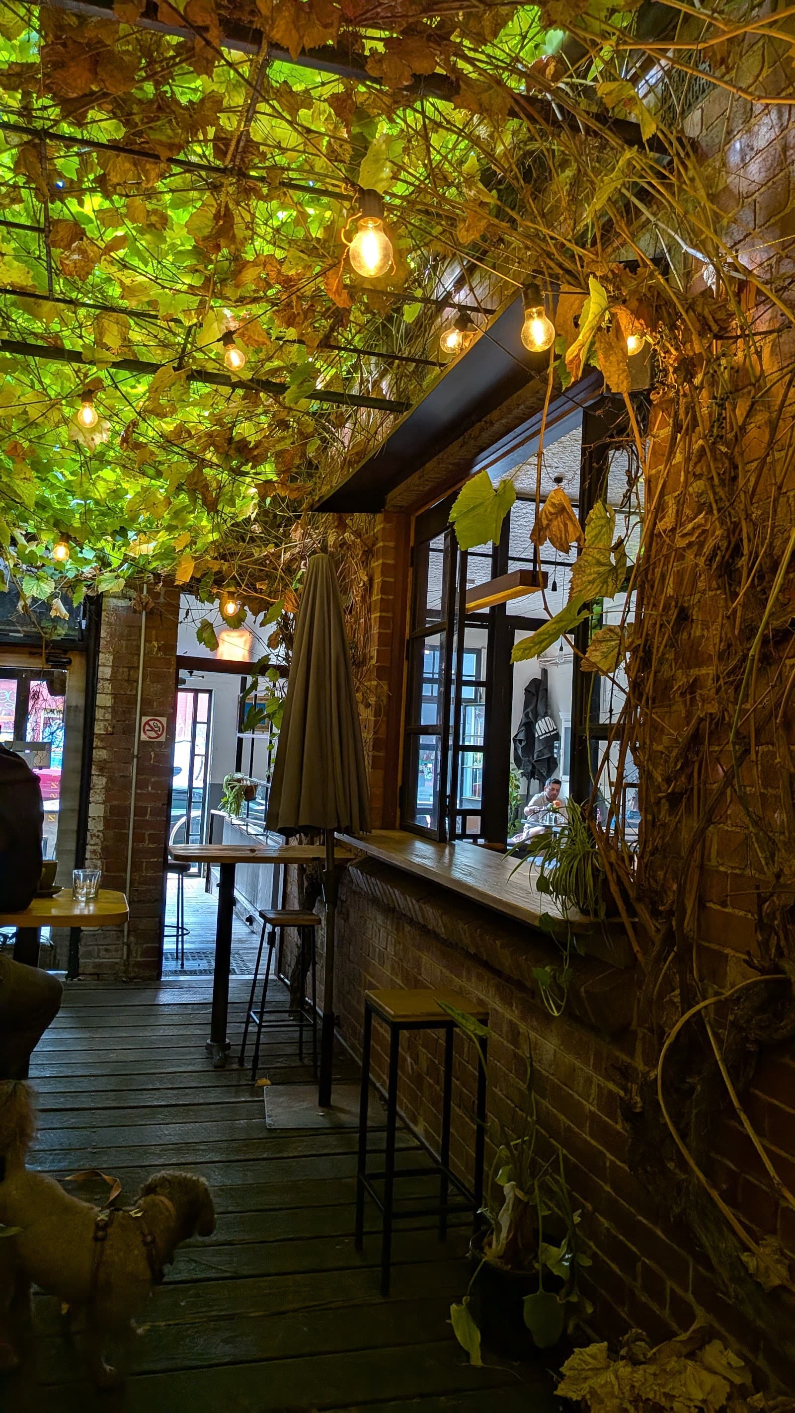 Mr Wilkinson — Brunswick, Melbourne