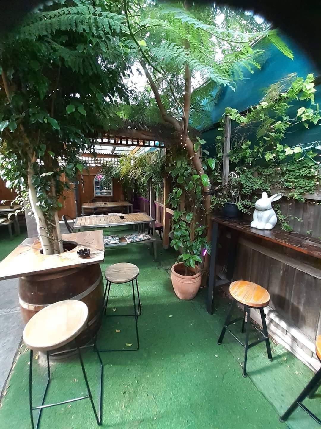Sloth Bar — Footscray, Melbourne
