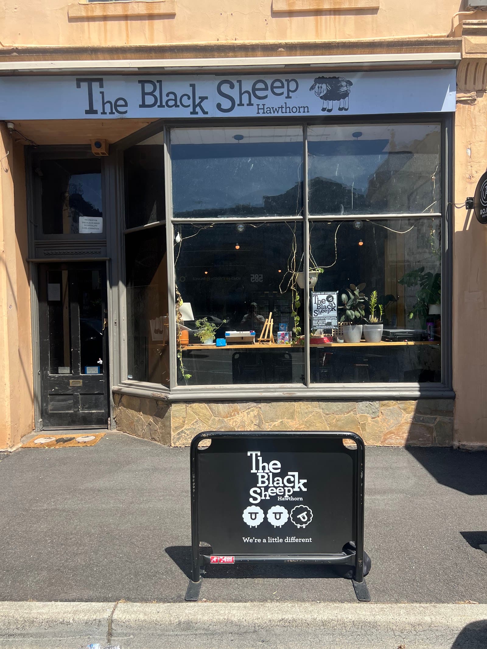 The Black Sheep Hawthorn — Hawthorn, Melbourne