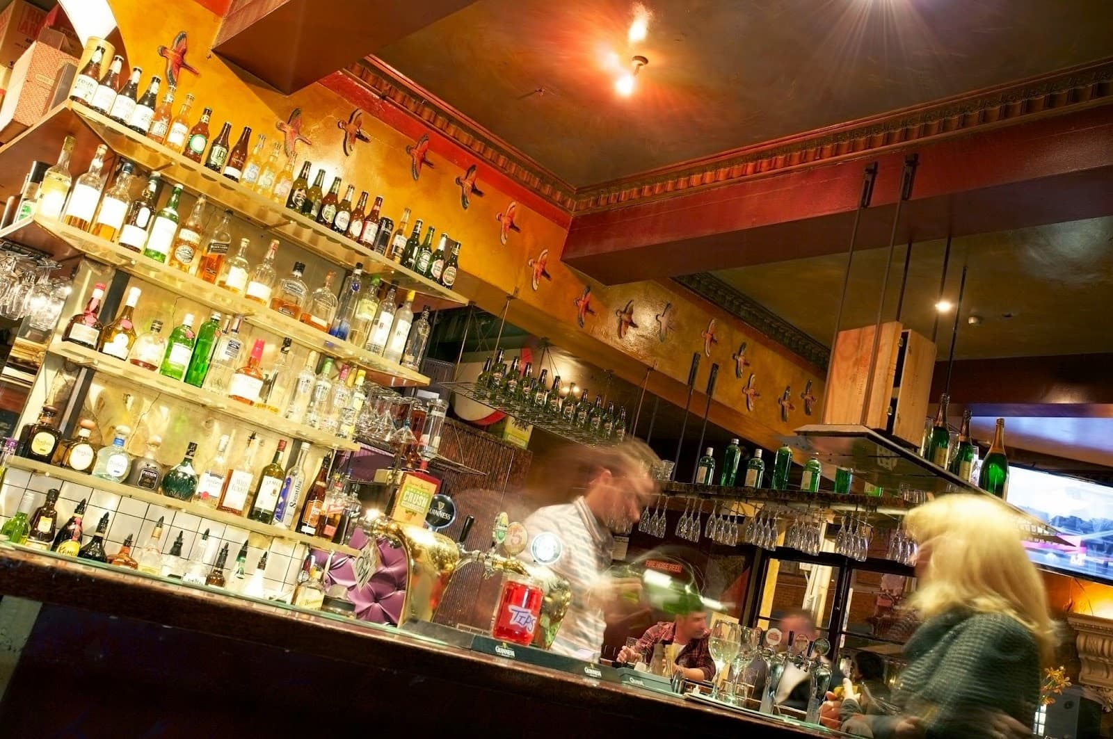 The Provincial Hotel — Fitzroy, Melbourne