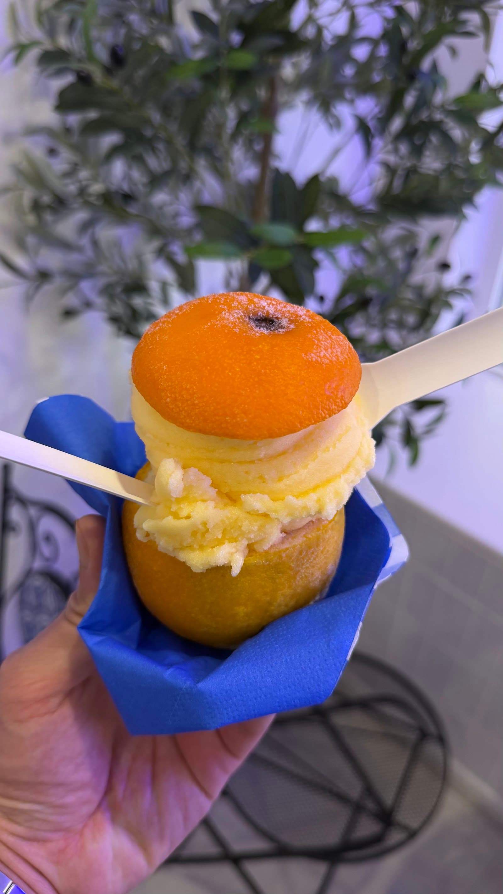 Taste of Amalfi — Carlton, Melbourne