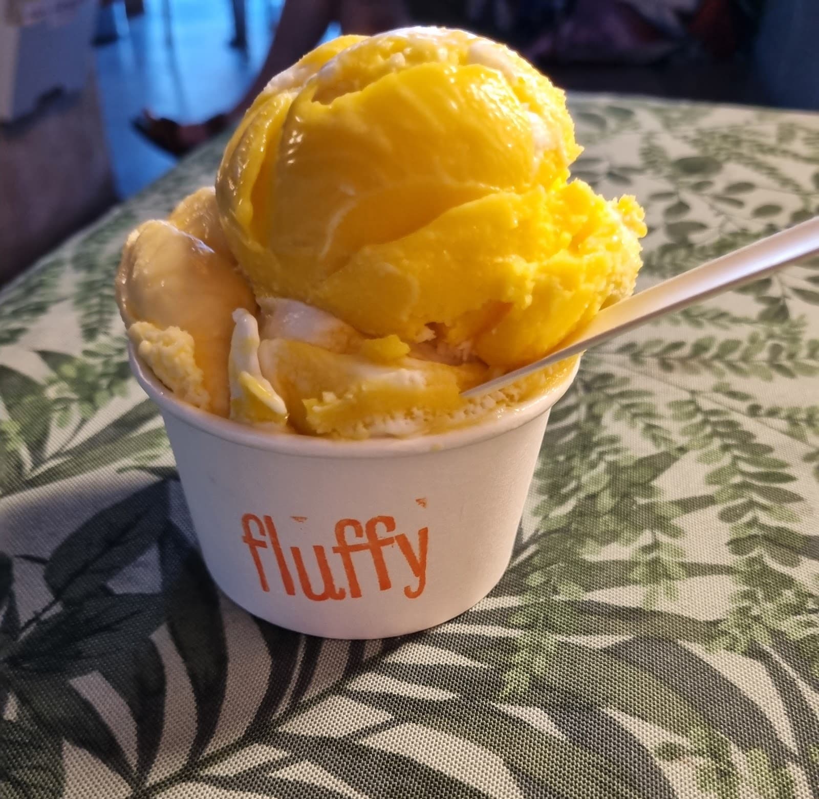 Fluffy Torpedo — Brunswick, Melbourne