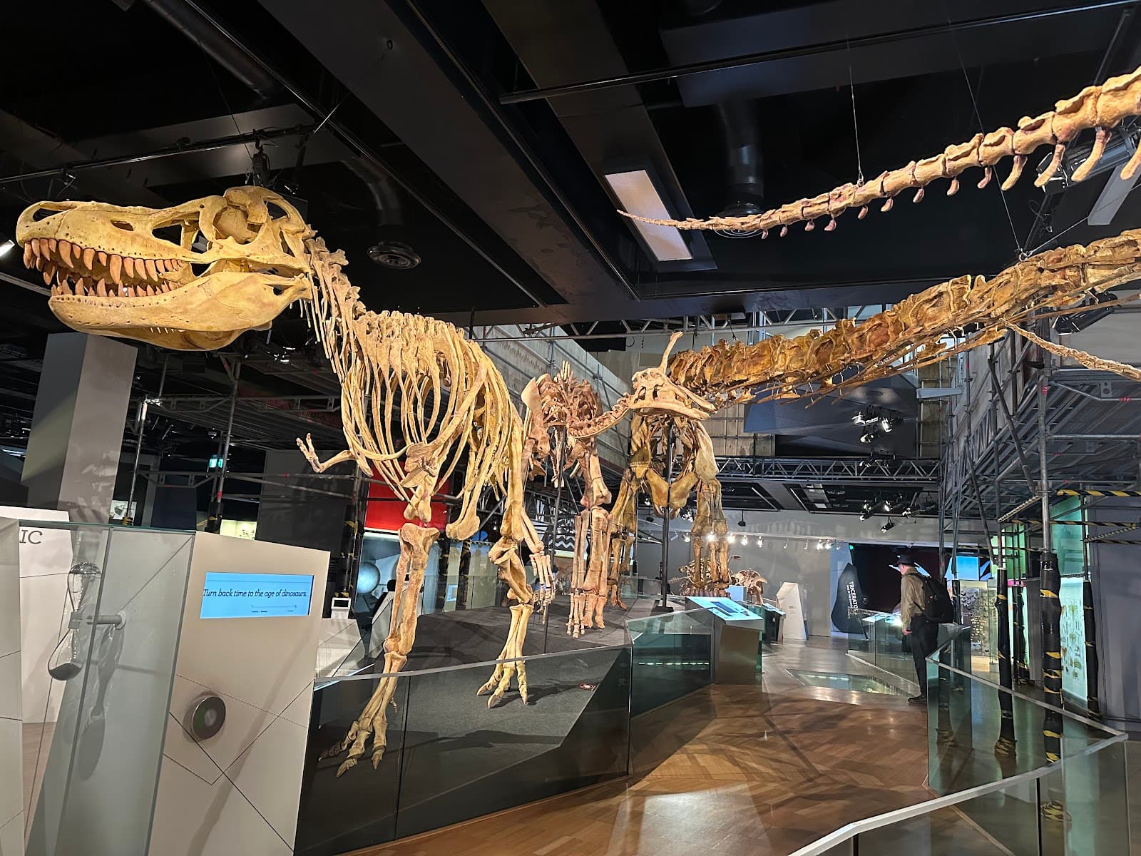 Melbourne Museum — North Melbourne, Melbourne