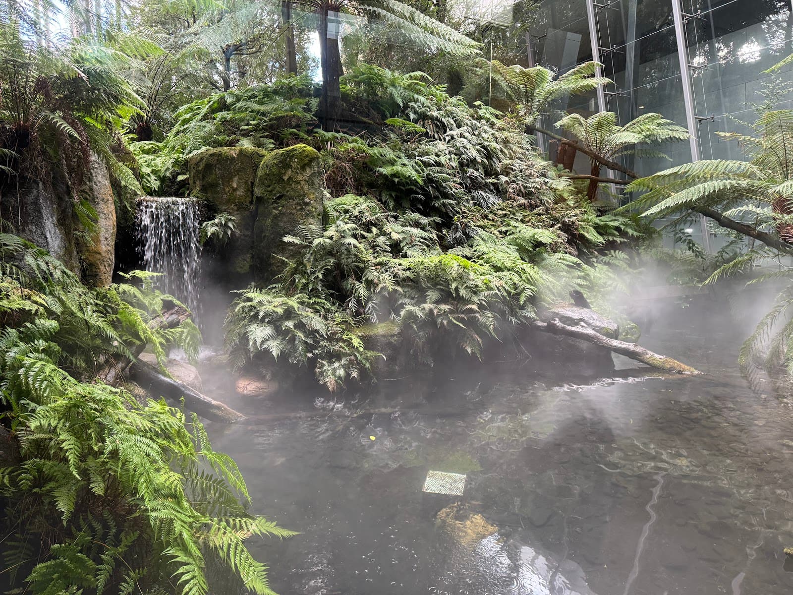Forest Secrets (Melbourne Museum) — Carlton, Melbourne