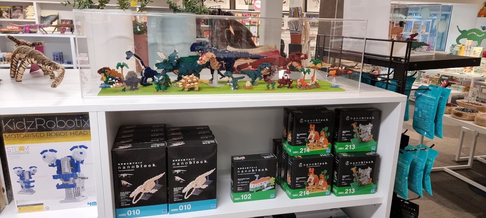Museums Victoria Store — Carlton, Melbourne