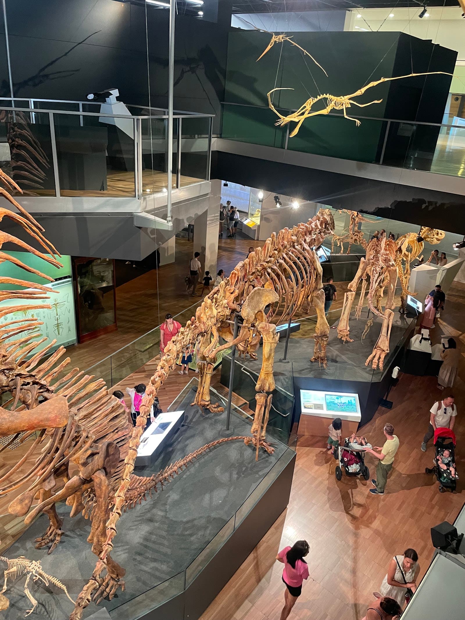 Gandel Gondwana Garden (Melbourne Museum) — Brunswick, Melbourne