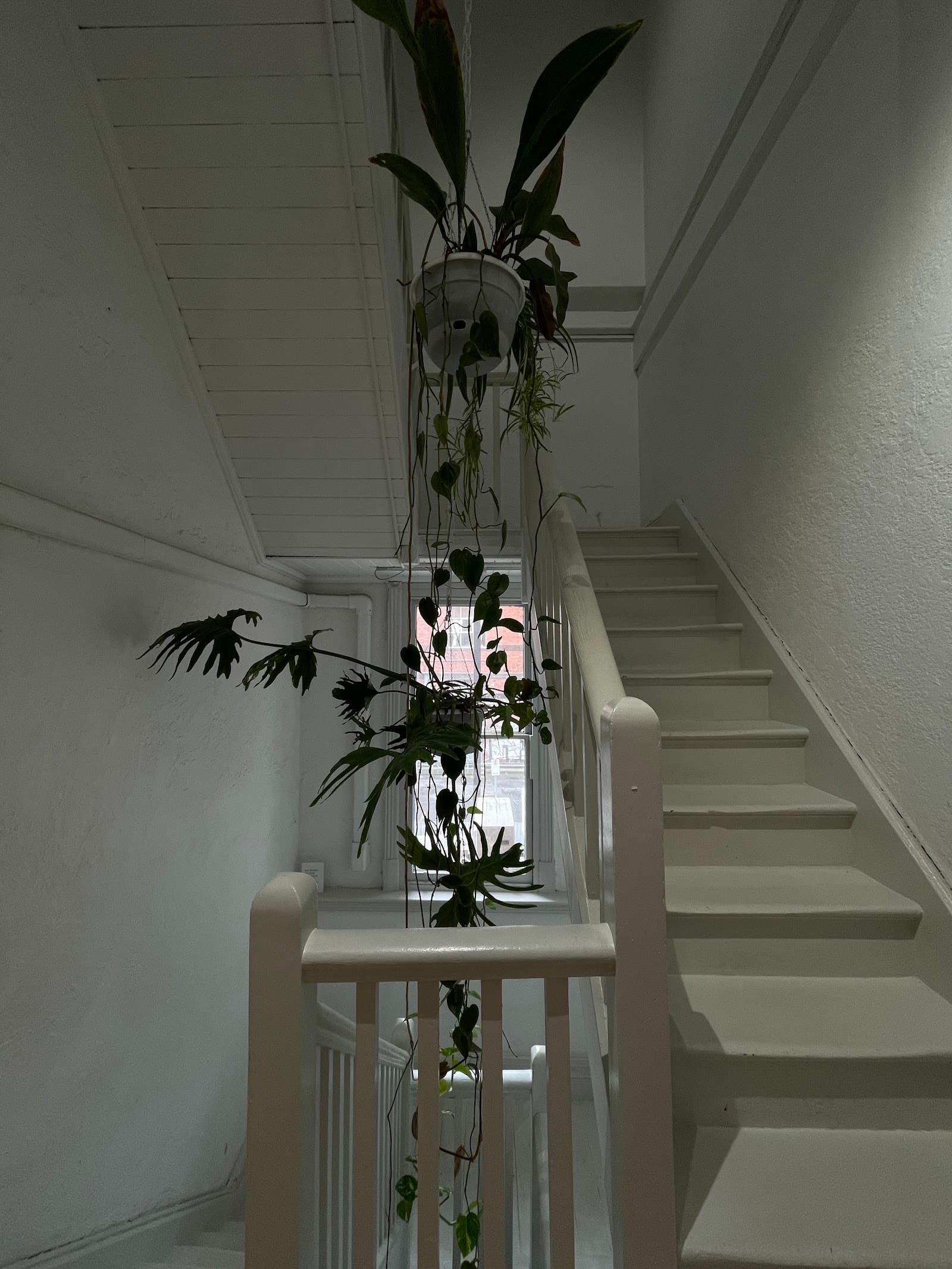 Brunswick Street Gallery — Fitzroy, Melbourne