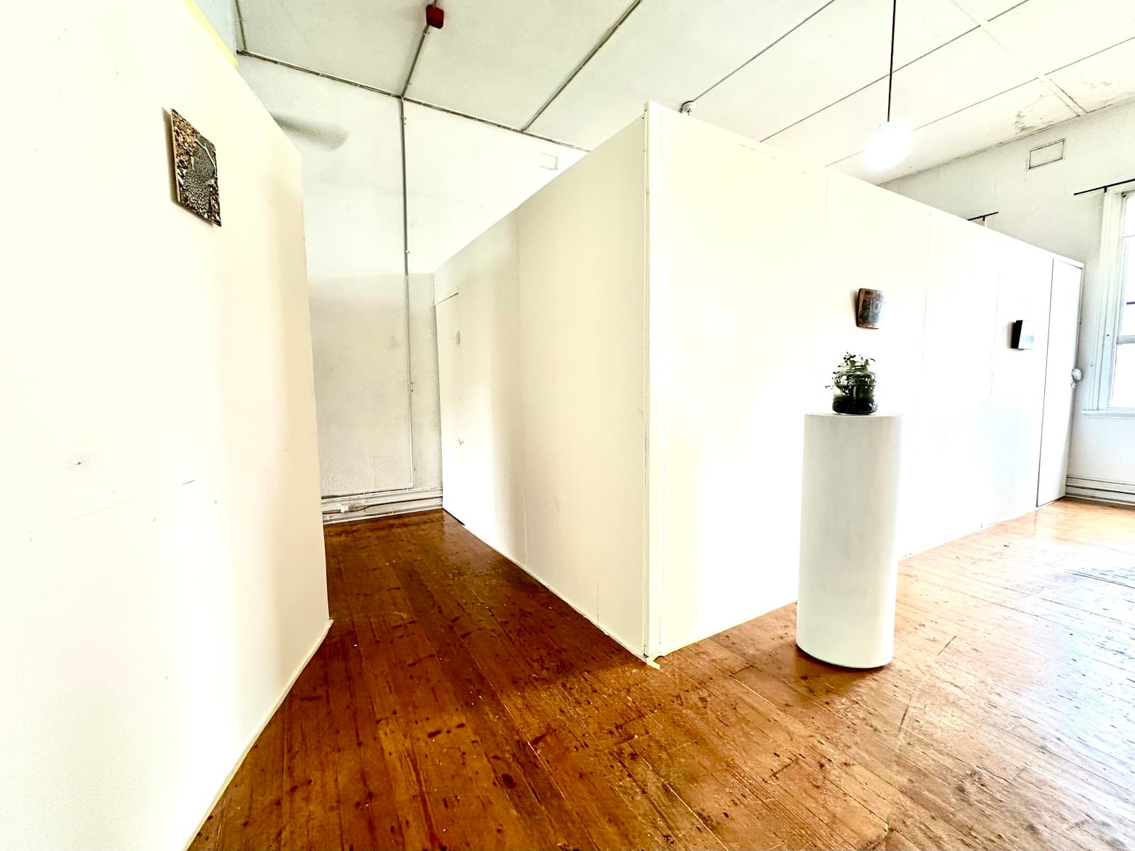 Fitzroy Public Gallery — Fitzroy, Melbourne