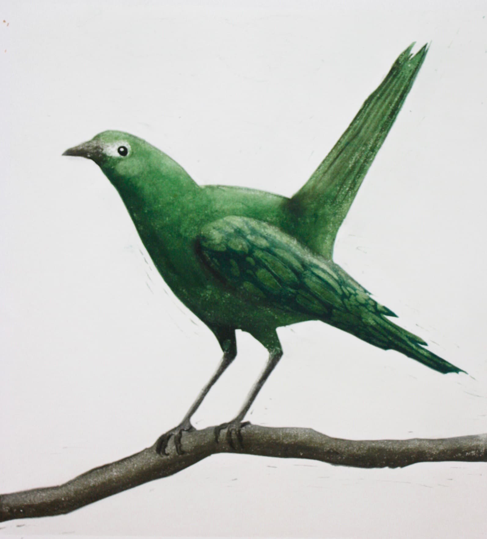 PG Gallery — Fitzroy, Melbourne