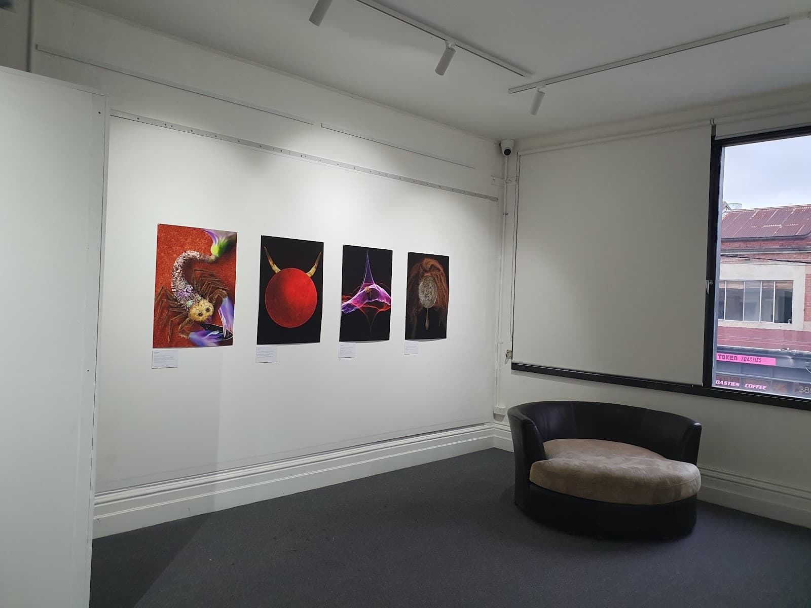 Wolfhound Gallery — Fitzroy, Melbourne