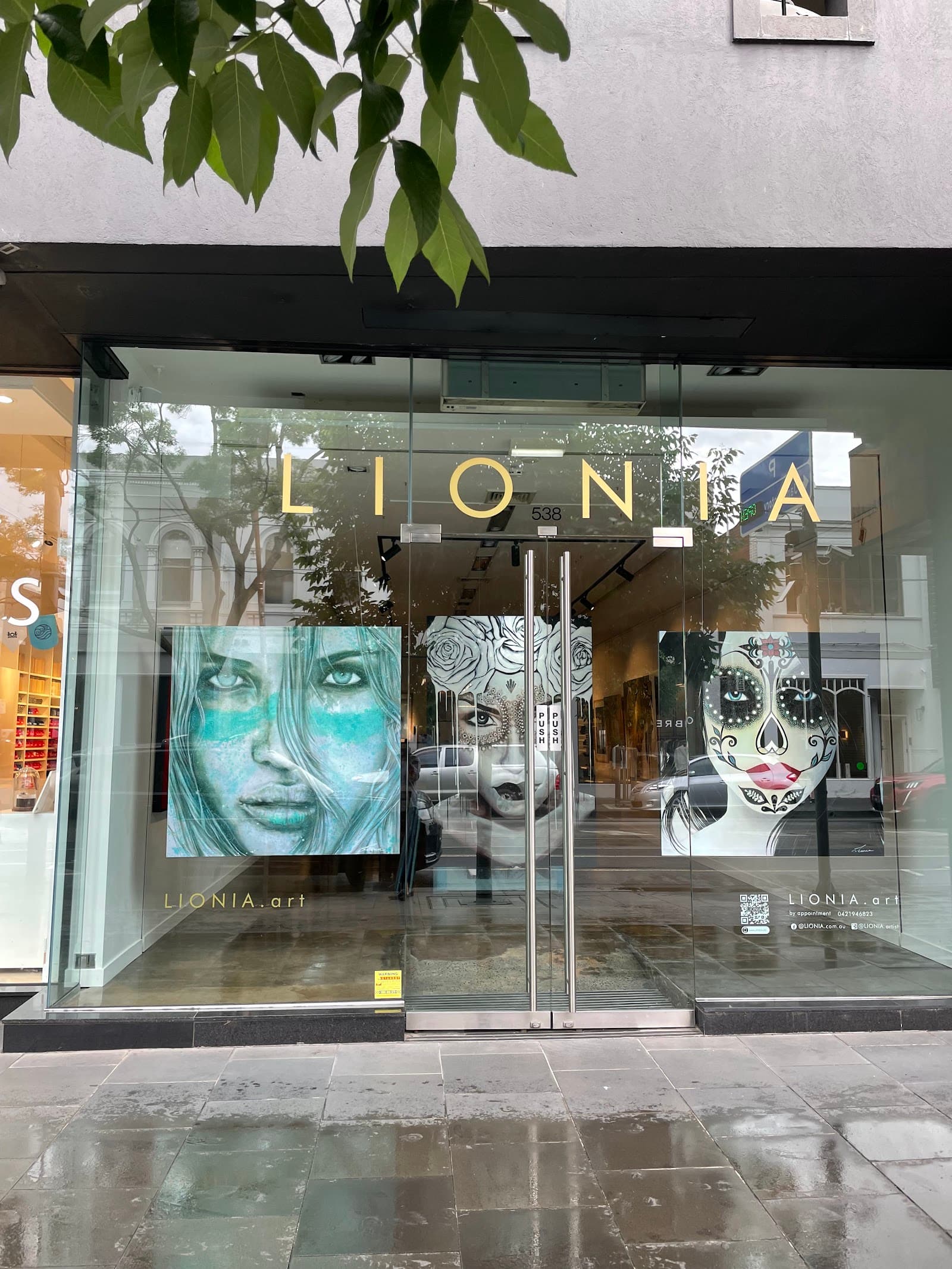 Lionia Art — South Yarra, Melbourne