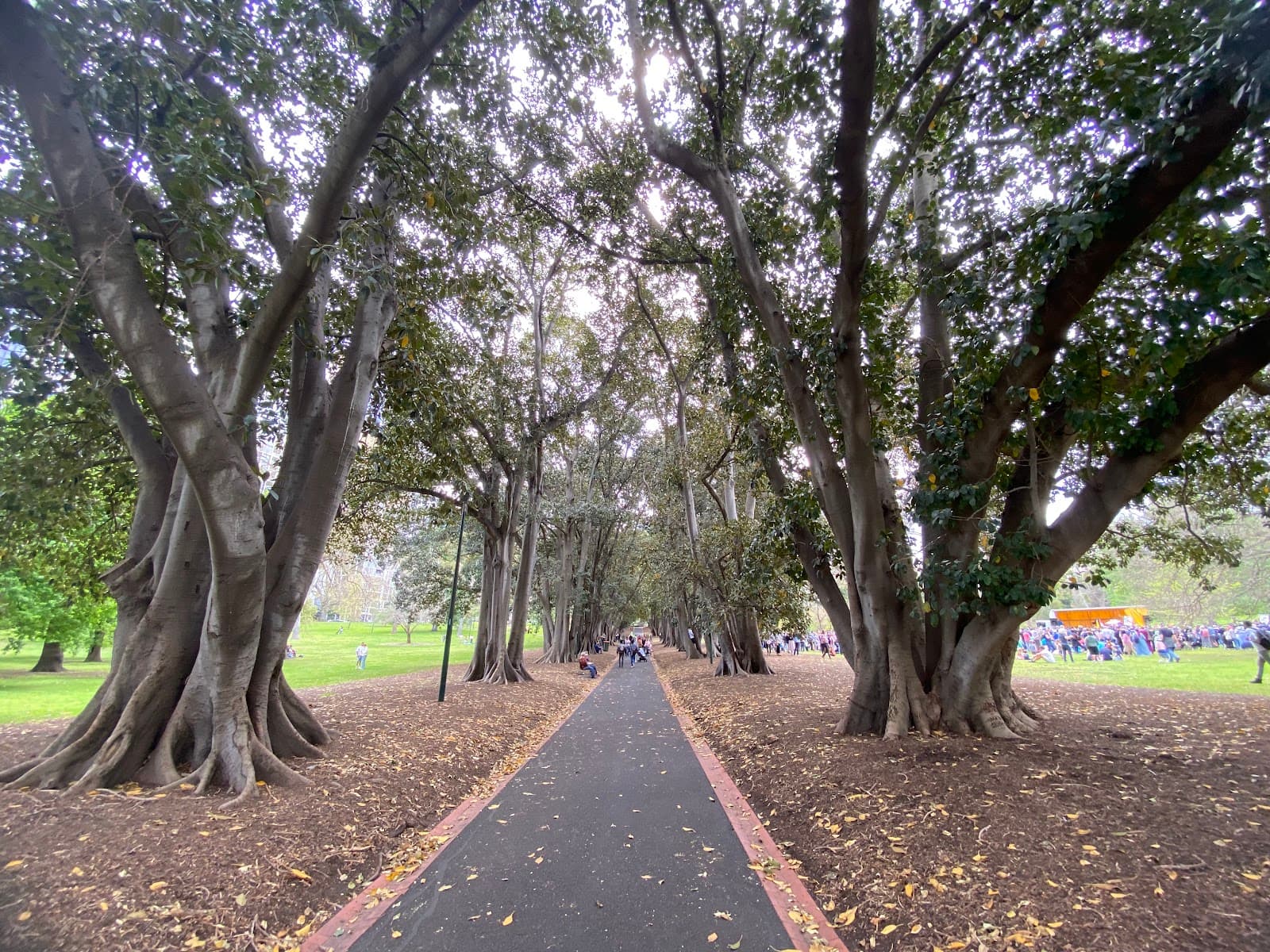 Treasury Gardens — Fitzroy, Melbourne