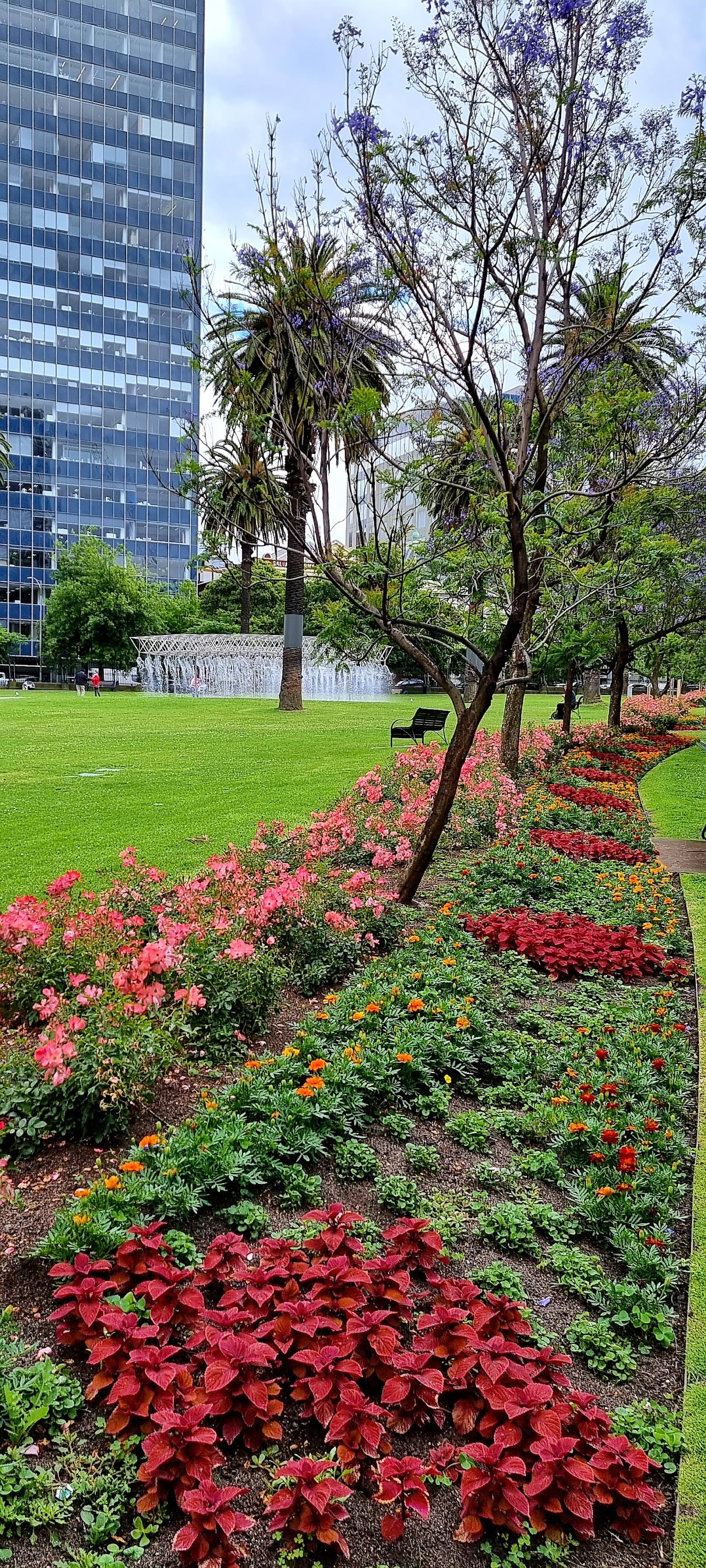 Parliament Gardens — South Yarra, Melbourne