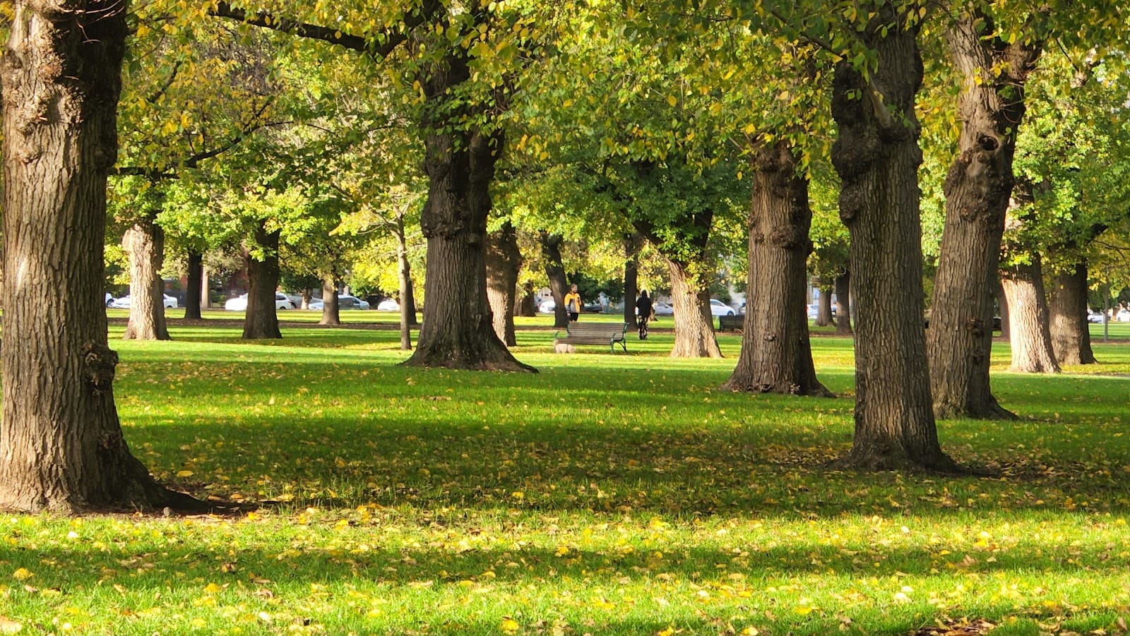 Edinburgh Gardens — Fitzroy, Melbourne