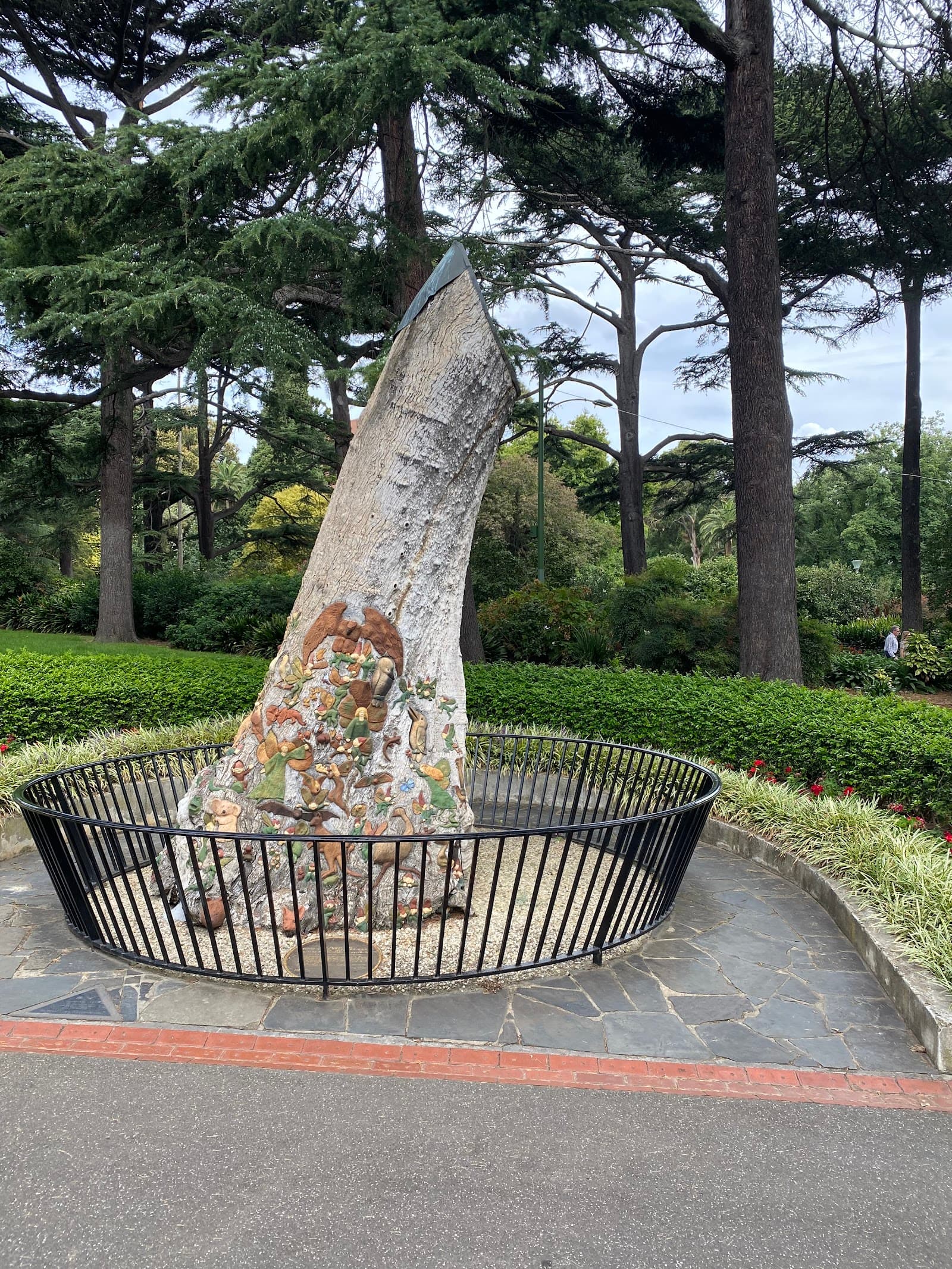 The Fairies Tree — East Melbourne, Melbourne