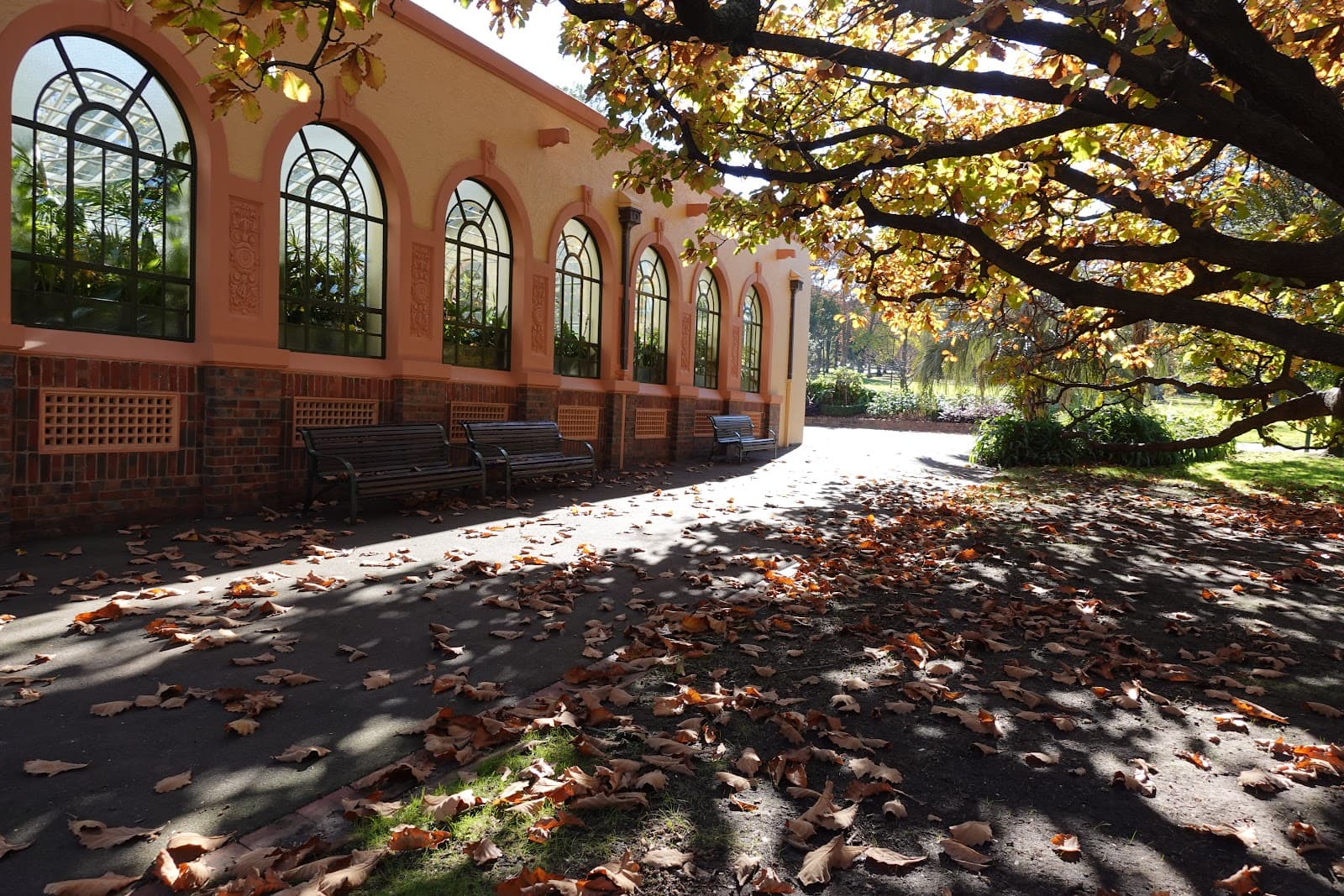 The Conservatory — East Melbourne, Melbourne