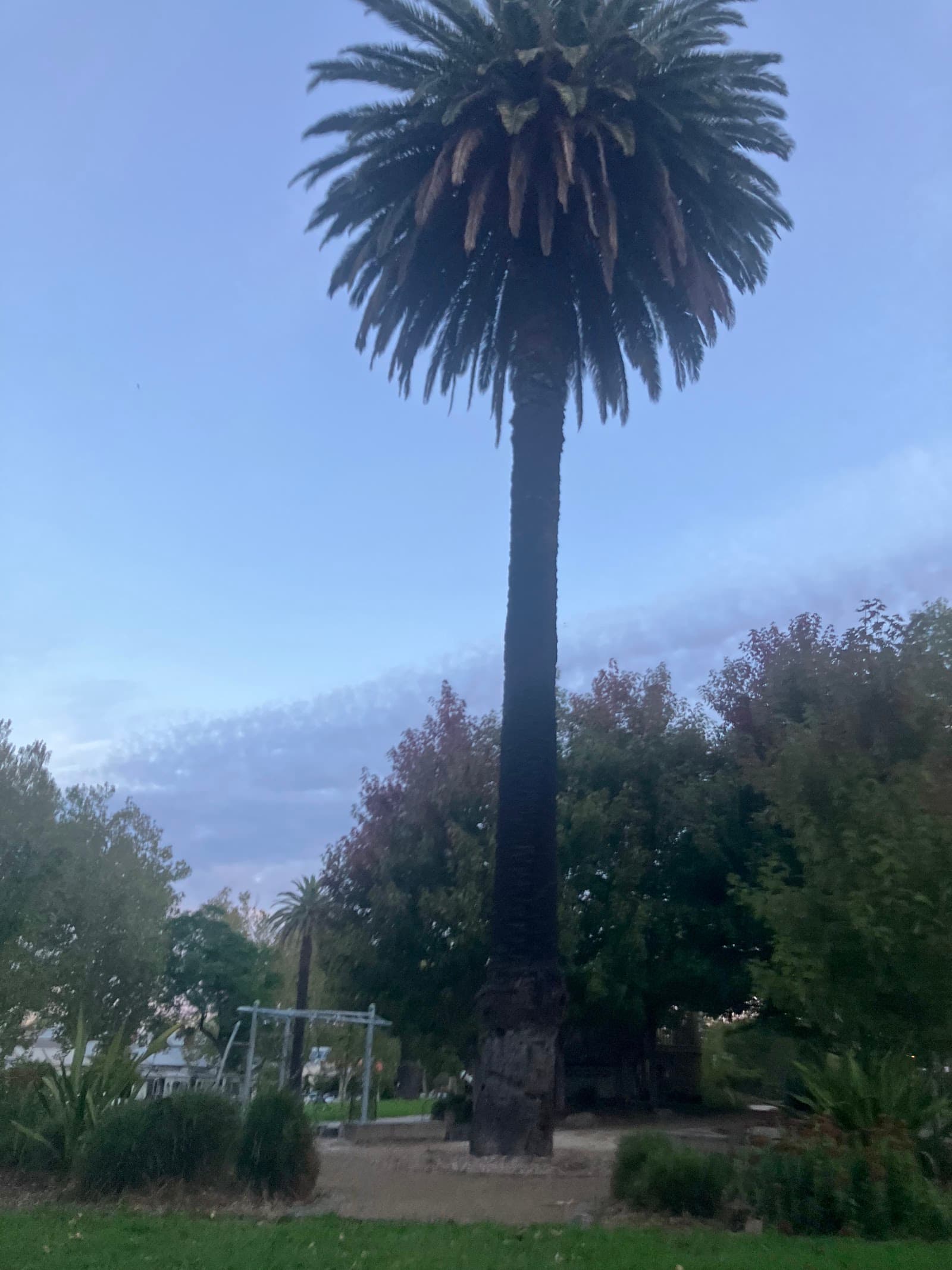 Gahan Reserve — Richmond, Melbourne