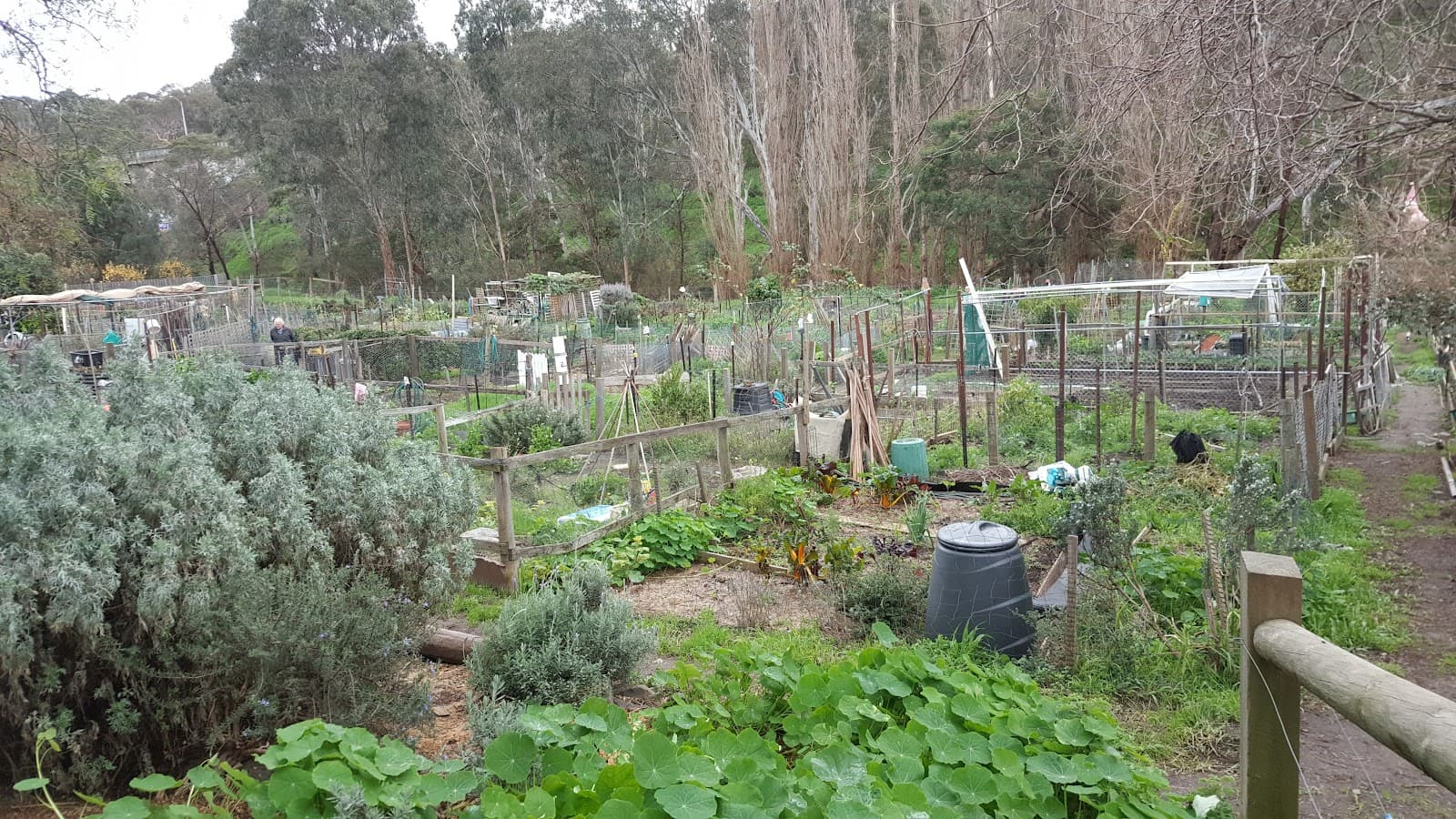 Collingwood Children's Farm — Collingwood, Melbourne