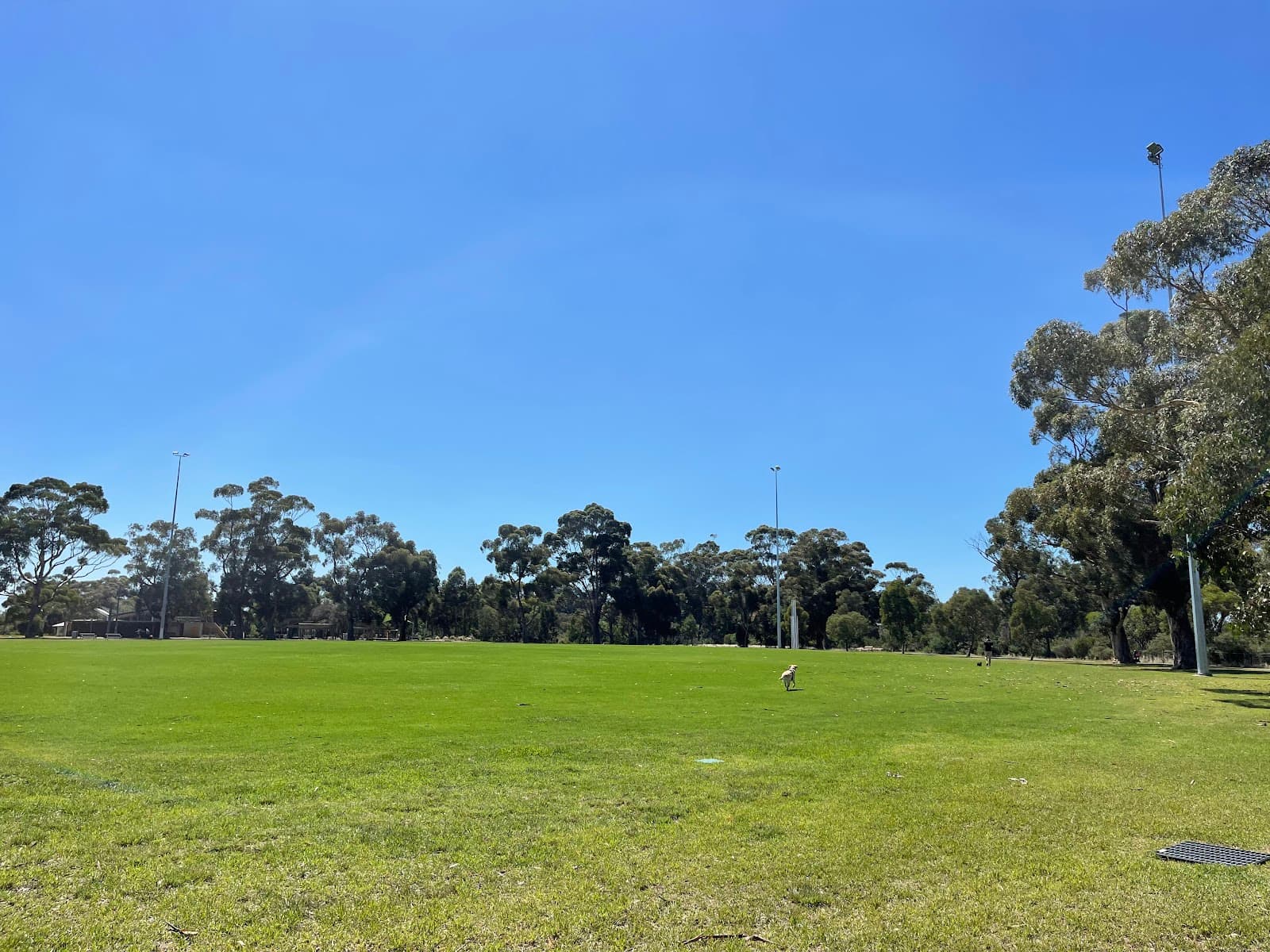 Burnley Park — Richmond, Melbourne