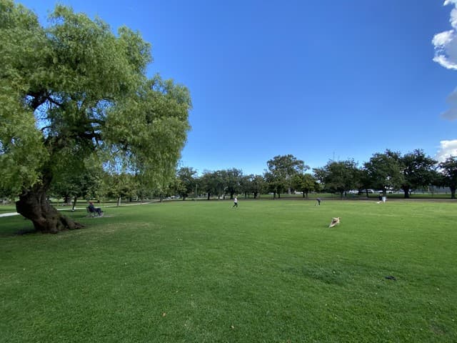 Barkly Gardens Dog Off Leash Area — Richmond, Melbourne