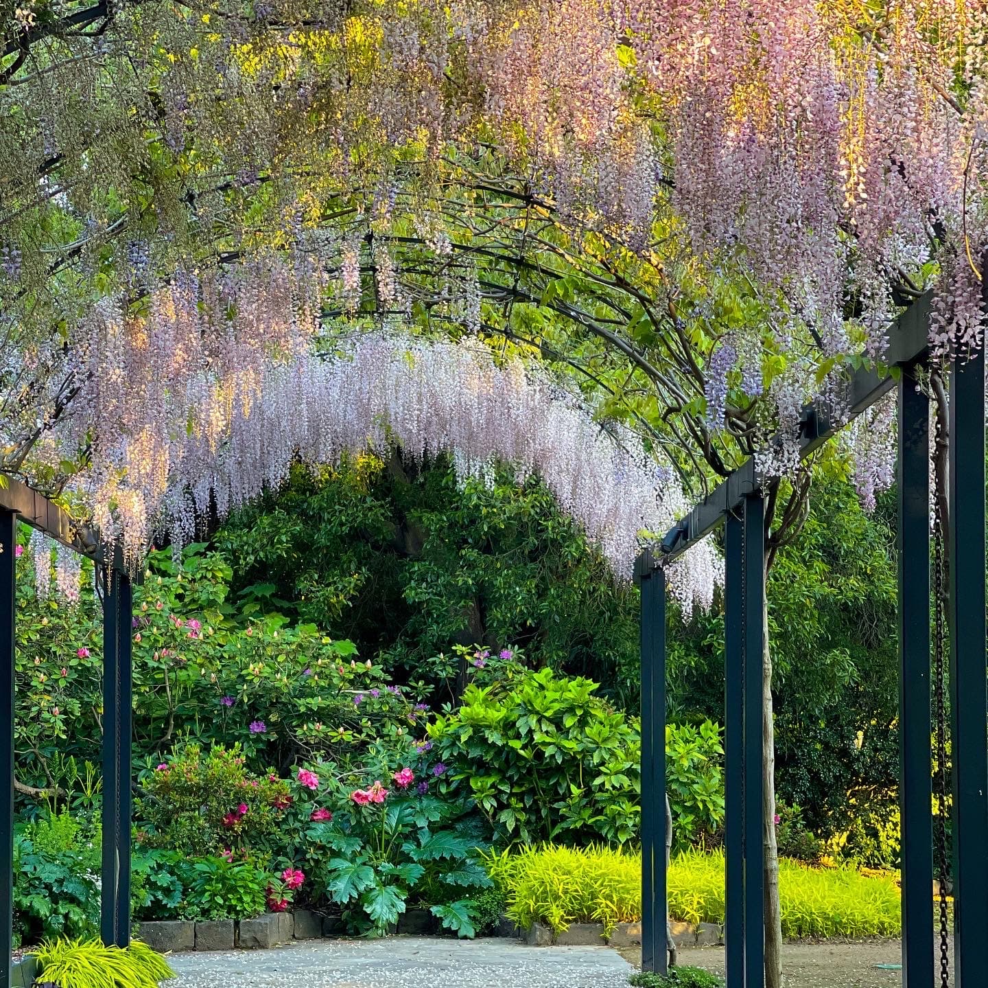 Burnley Gardens — Richmond, Melbourne