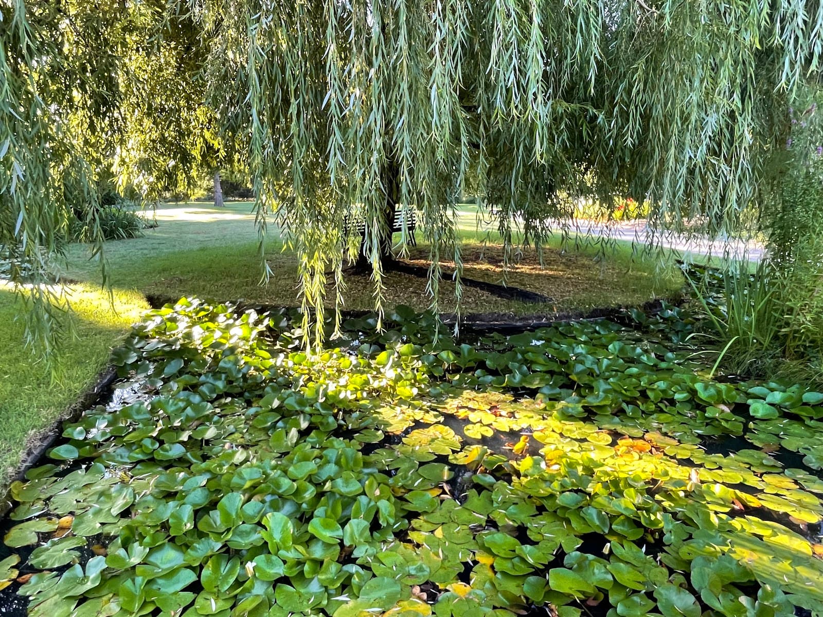 Burnley Gardens — Richmond, Melbourne