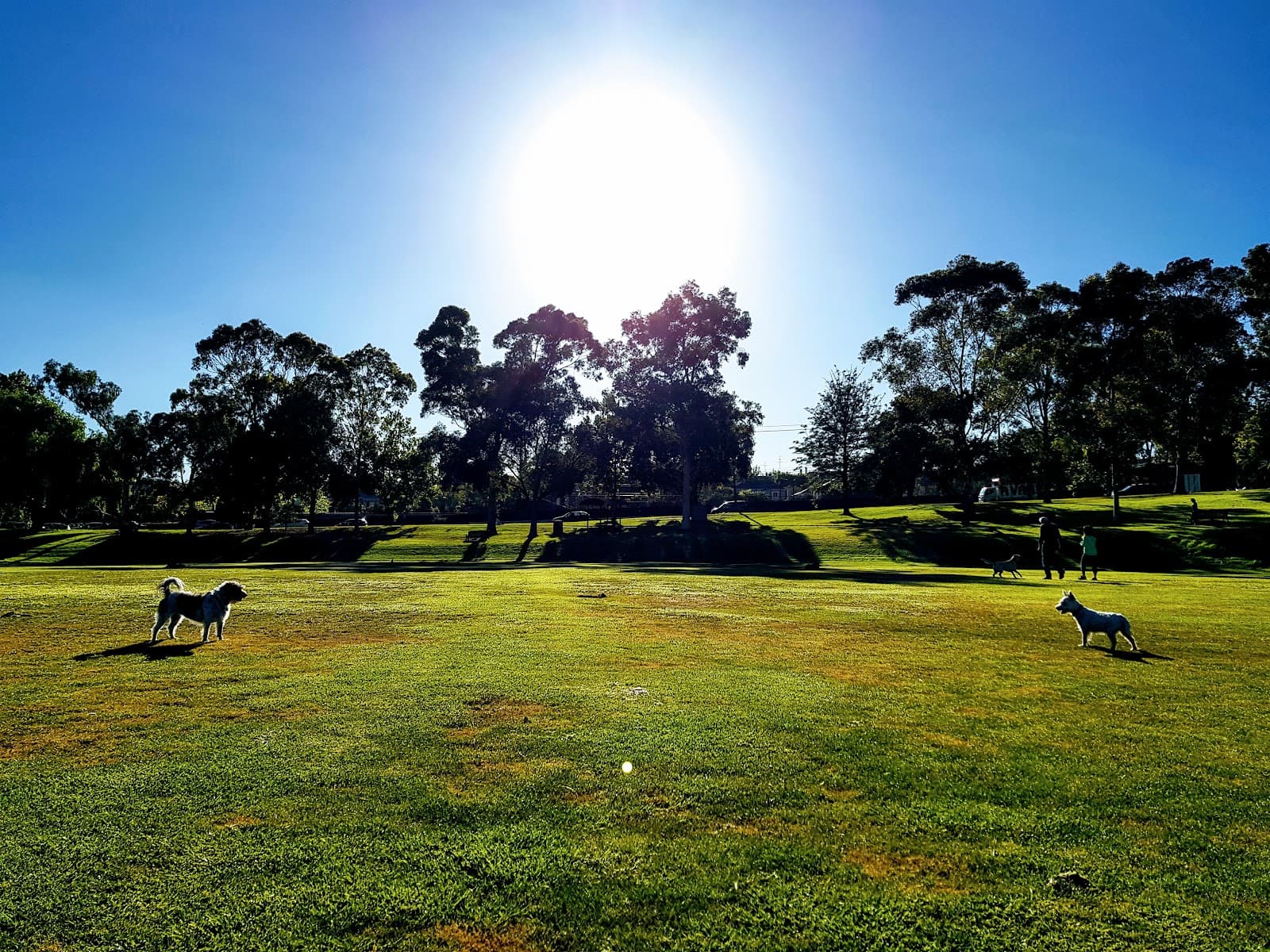 Como Park North — South Yarra, Melbourne