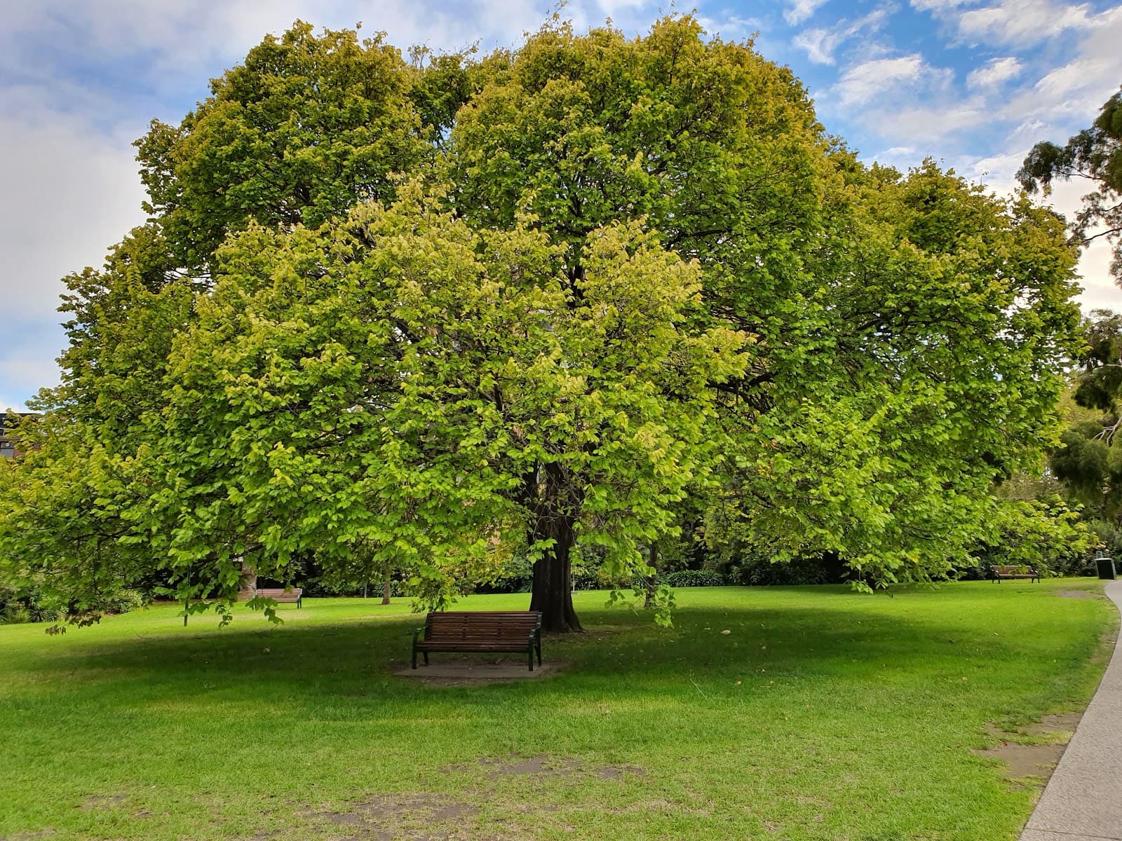 Rockley Gardens — South Yarra, Melbourne