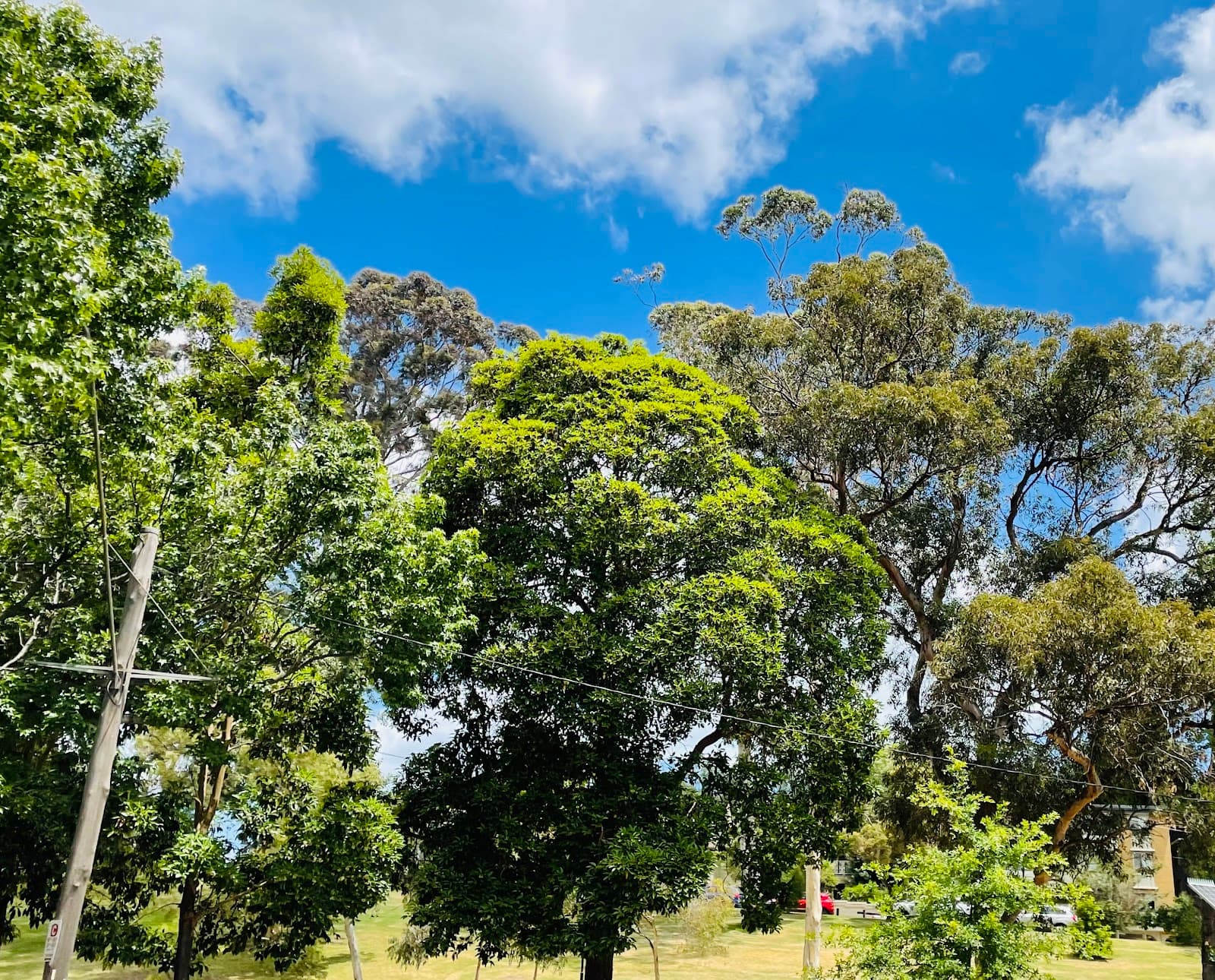 Darling Gardens — Prahran, Melbourne