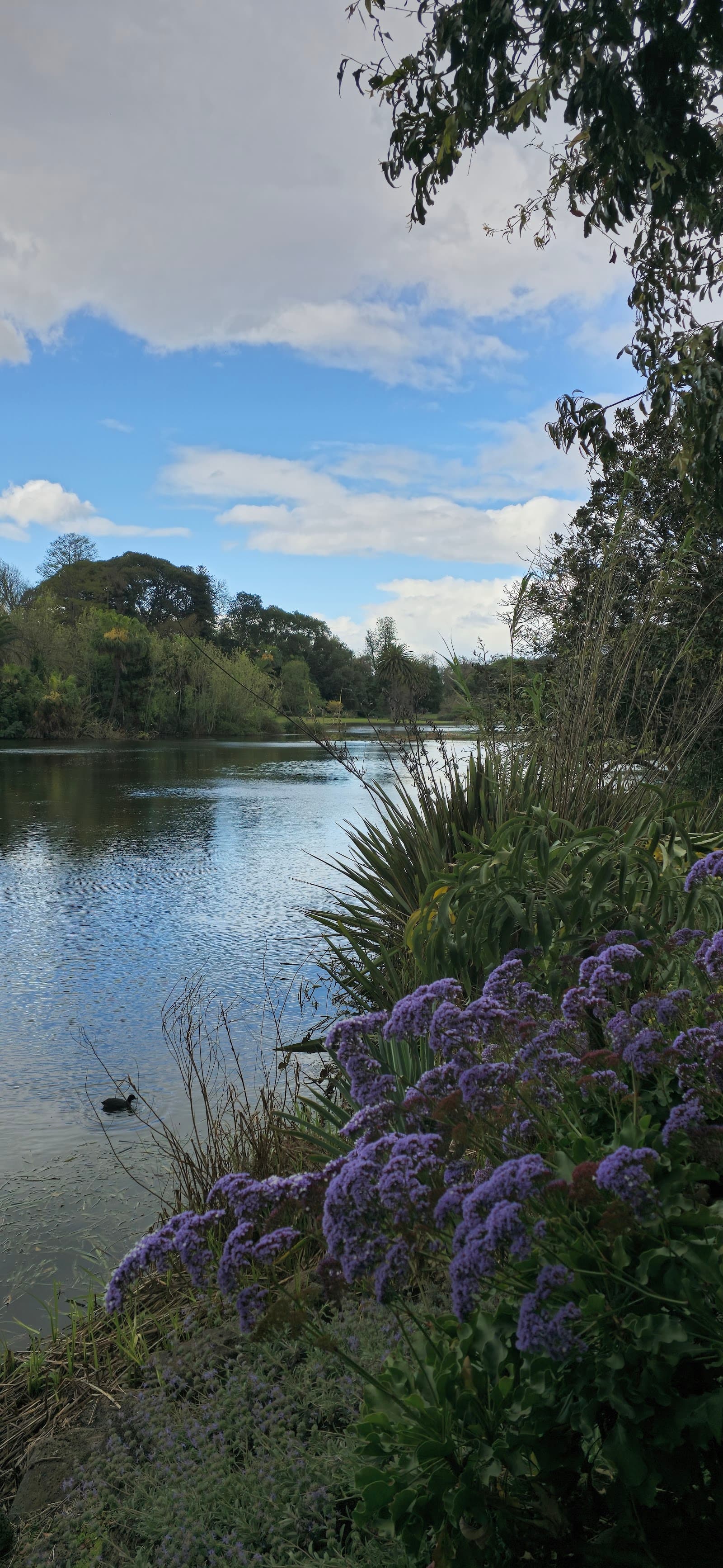 Yarra River Park — South Yarra, Melbourne