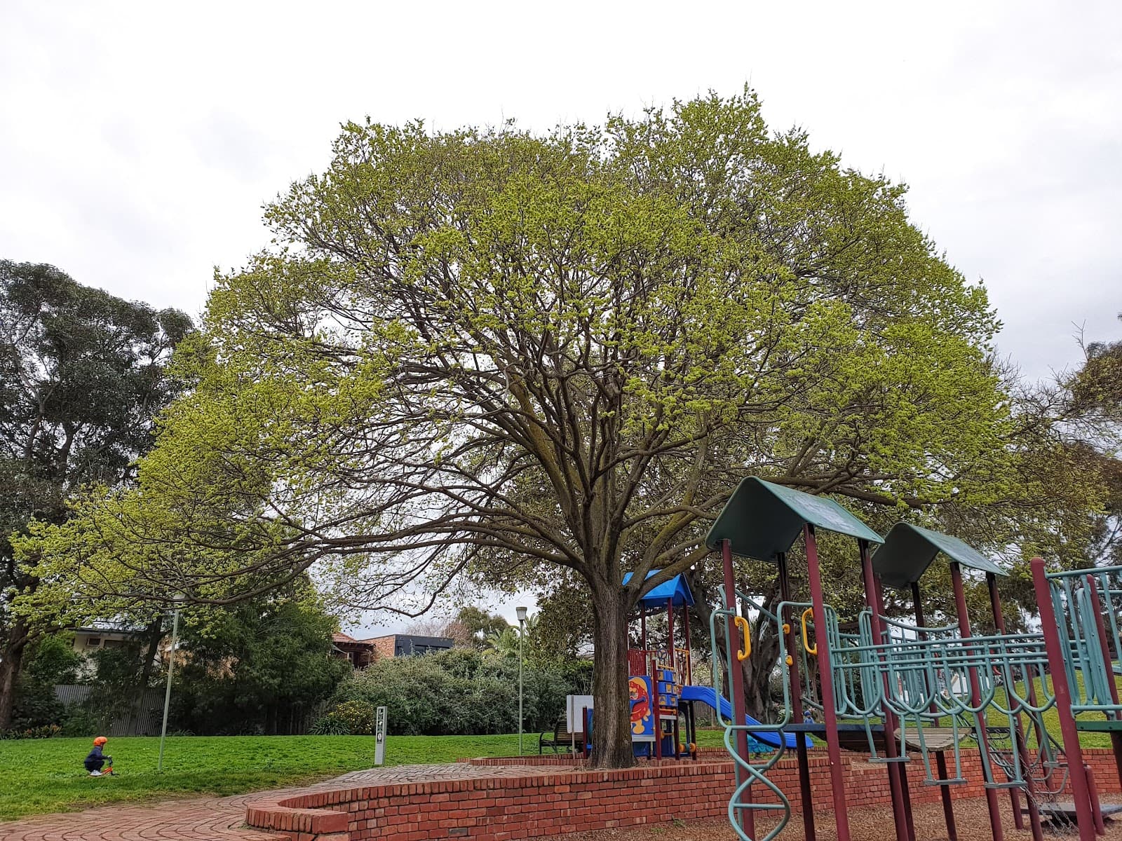 Argo Reserve — South Yarra, Melbourne