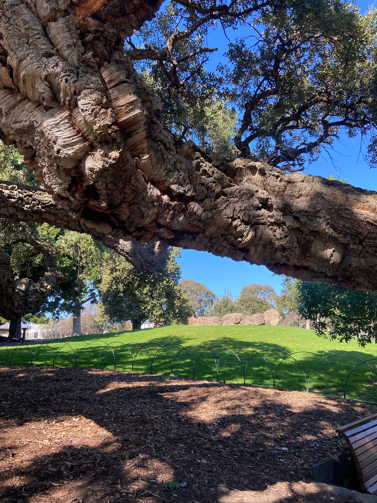 Brookville Gardens — Prahran, Melbourne