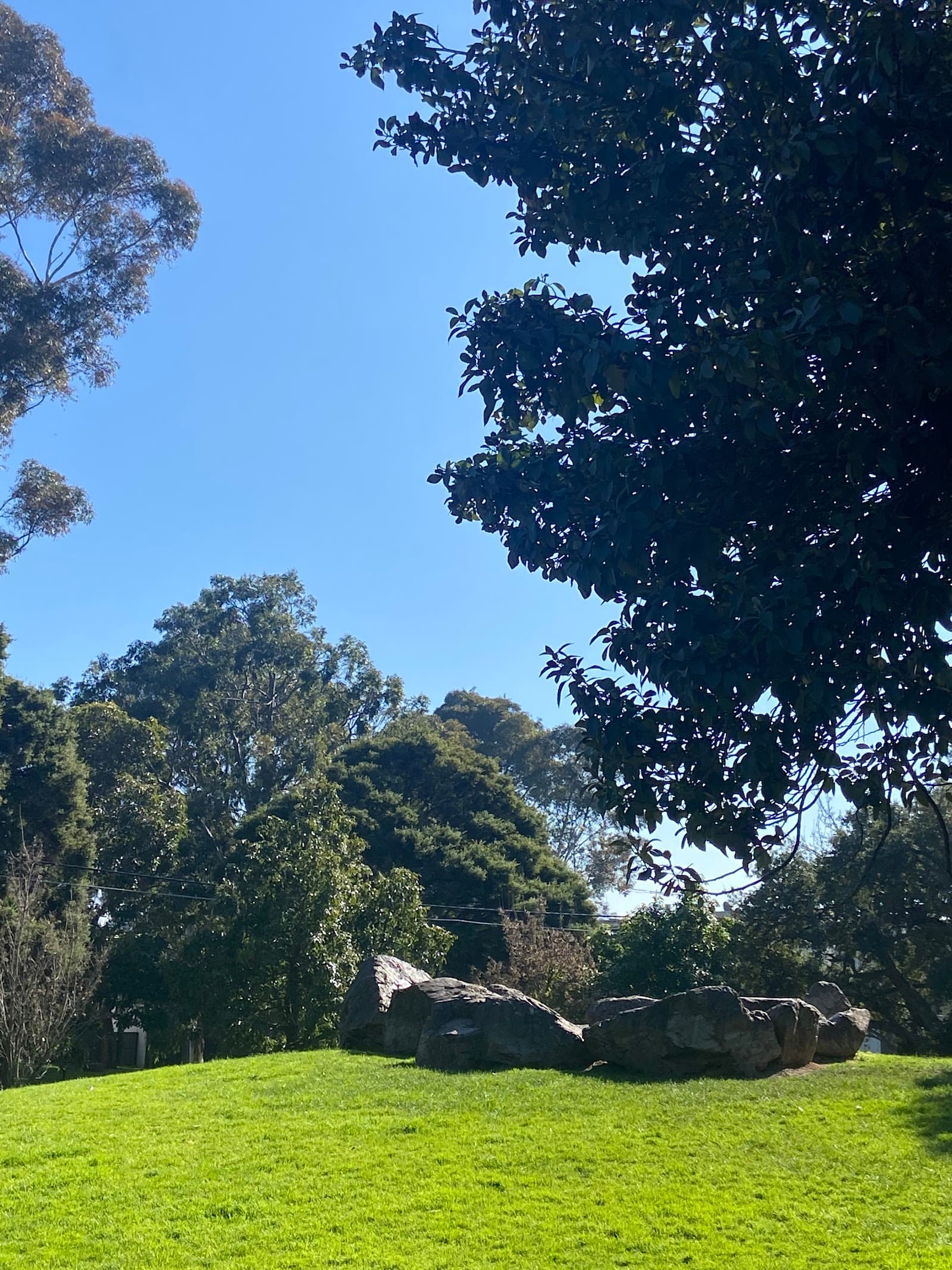 Brookville Gardens — Toorak, Melbourne