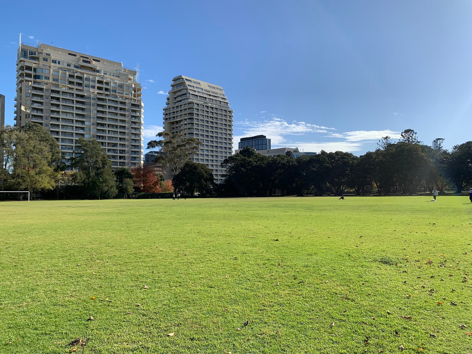 Fawkner Park Off-Leash Area — South Yarra, Melbourne