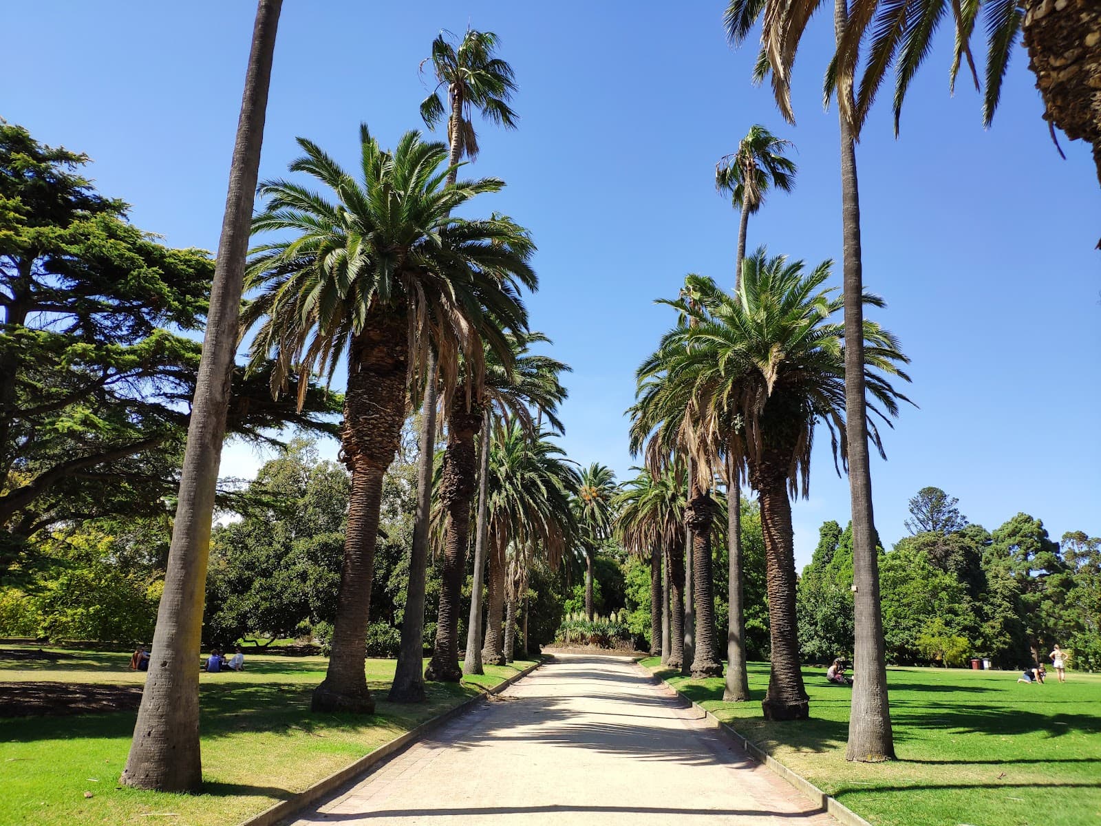 St Kilda Botanical Gardens — St Kilda, Melbourne