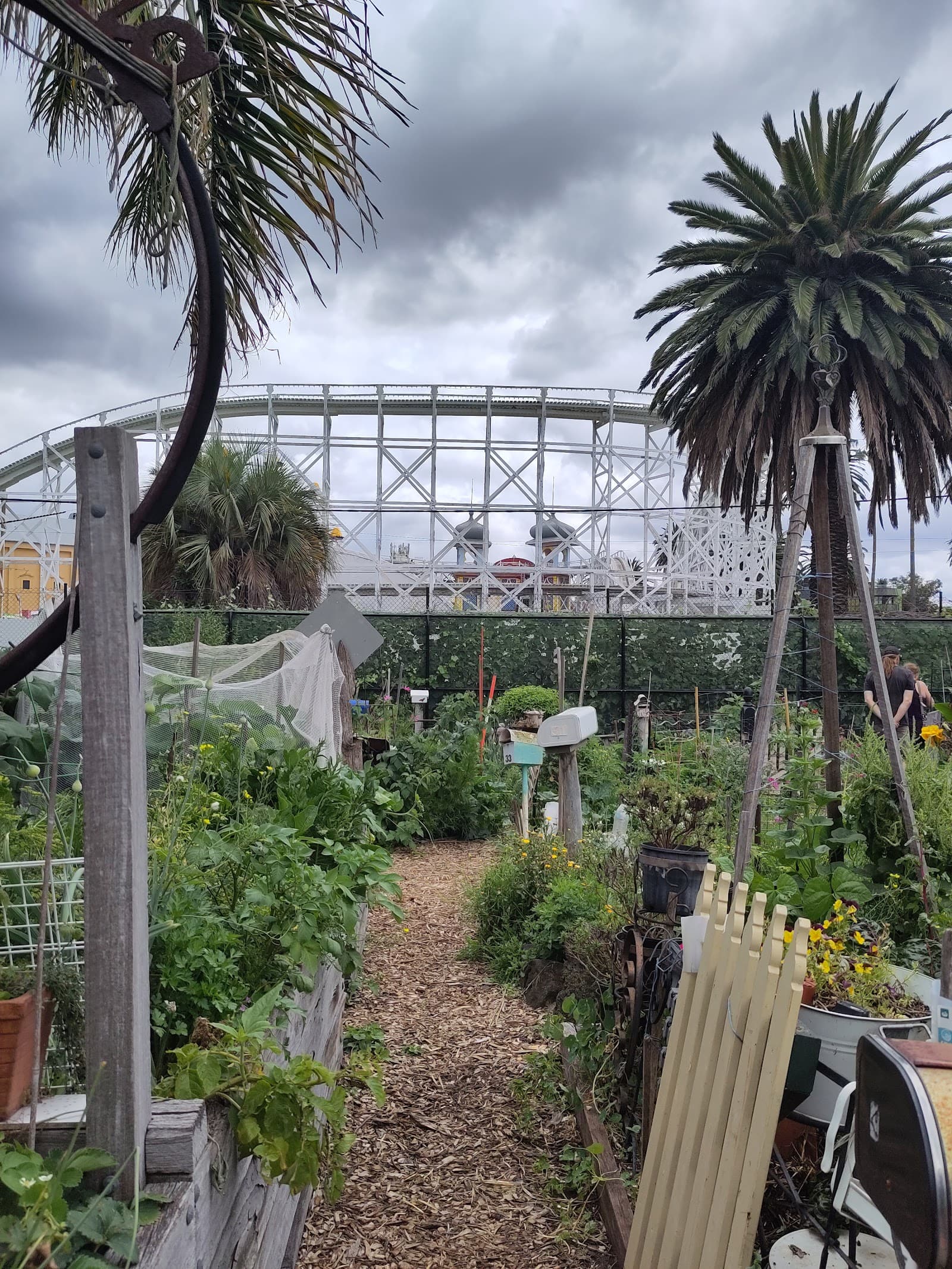 Veg Out Community Gardens St Kilda — St Kilda, Melbourne