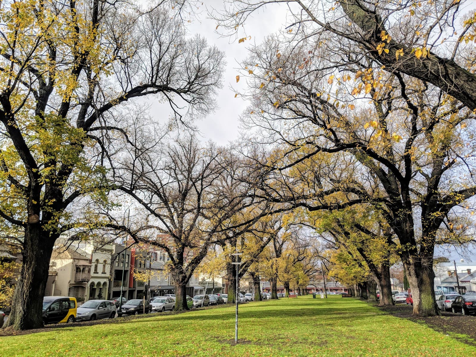 Macarthur Square — Carlton, Melbourne