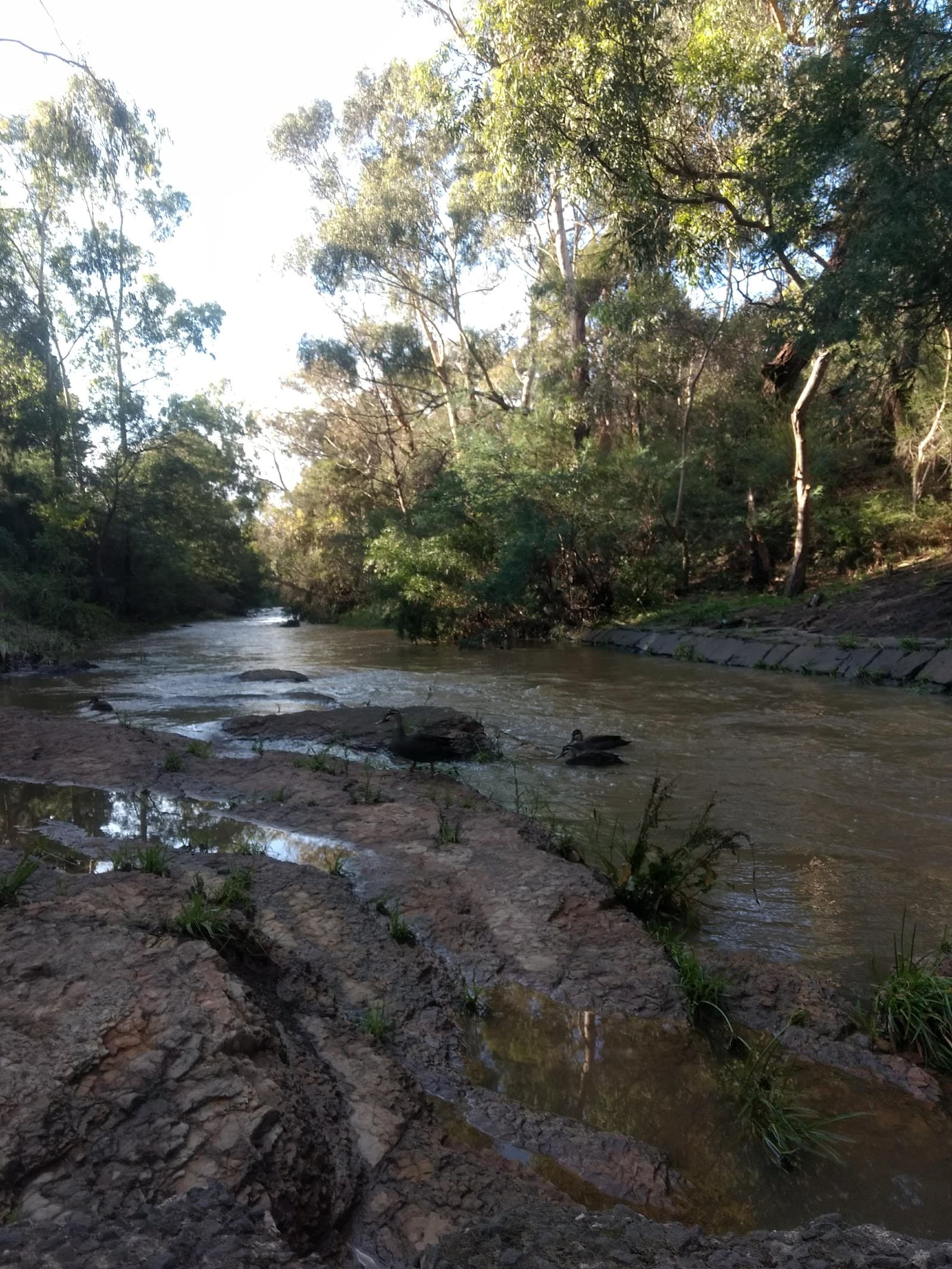 Kirkdale Reserve — Brunswick, Melbourne