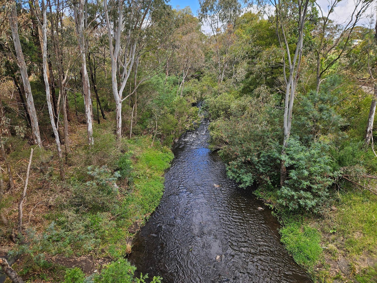 Phillips Reserve — Brunswick, Melbourne